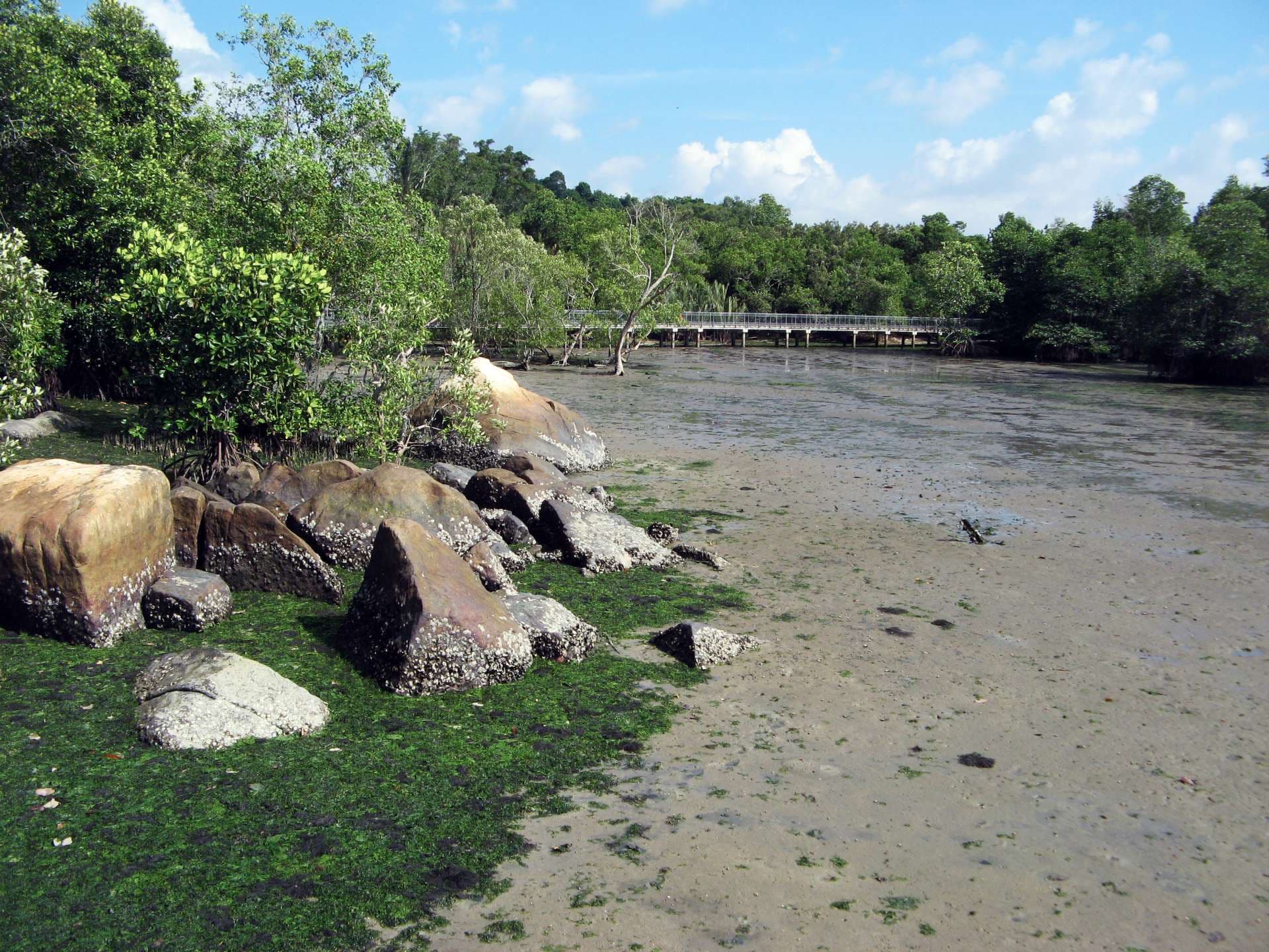 Pulau Ubin Cycling Tour - სურათი 5
