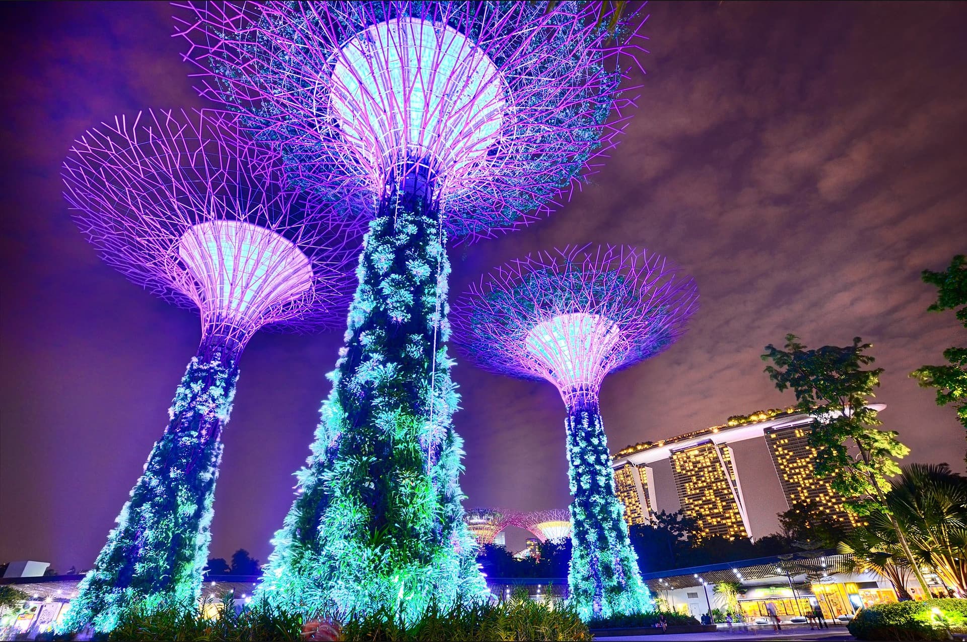 COMBO: Singapore Cable Car + Gardens by the Bay Ticket - სურათი 10