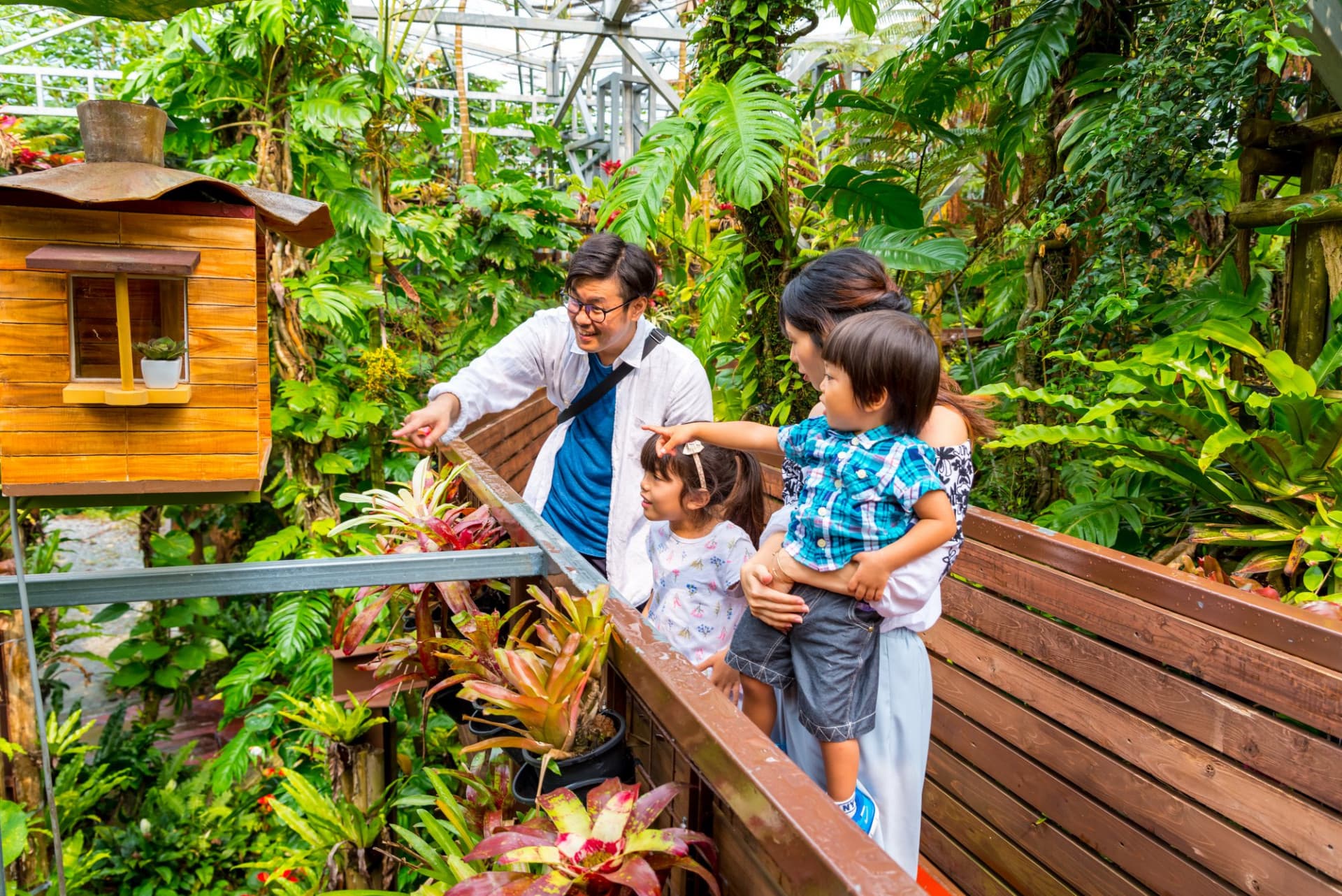 Okinawa Nago Pineapple Park - სურათი 8