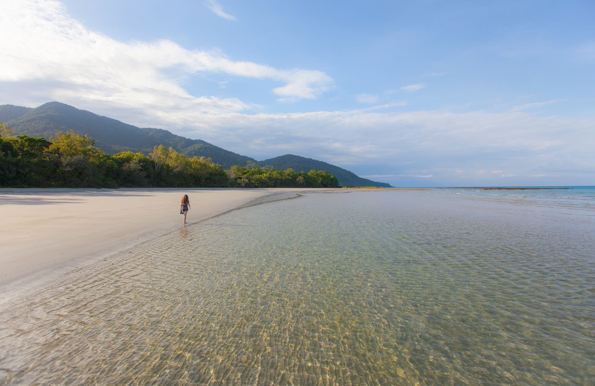 Cape Tribulation and Daintree Wilderness Full-Day Tour - სურათი 2