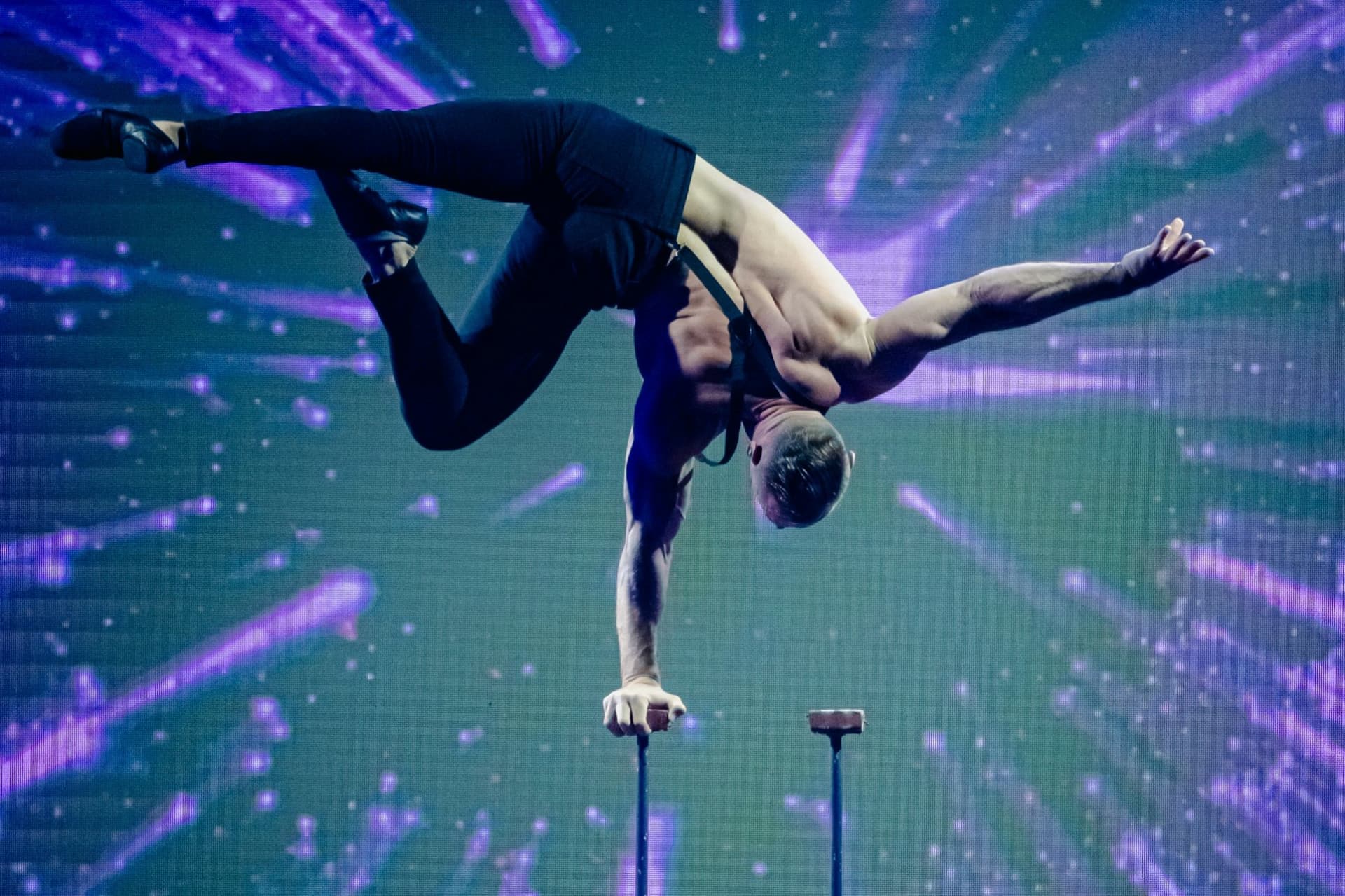 The Evolution of Music Show Ticket - სურათი 6