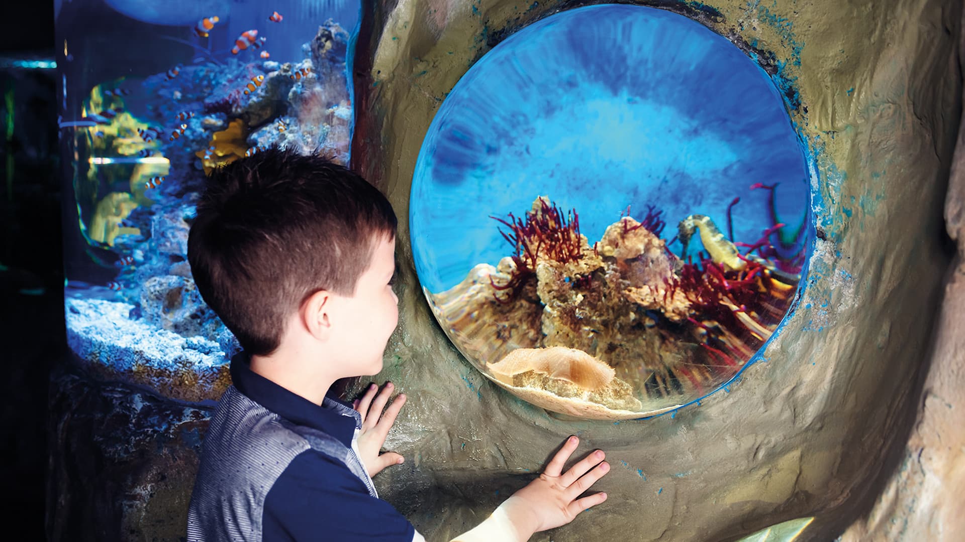 SEA LIFE London Aquarium Ticket - სურათი 4