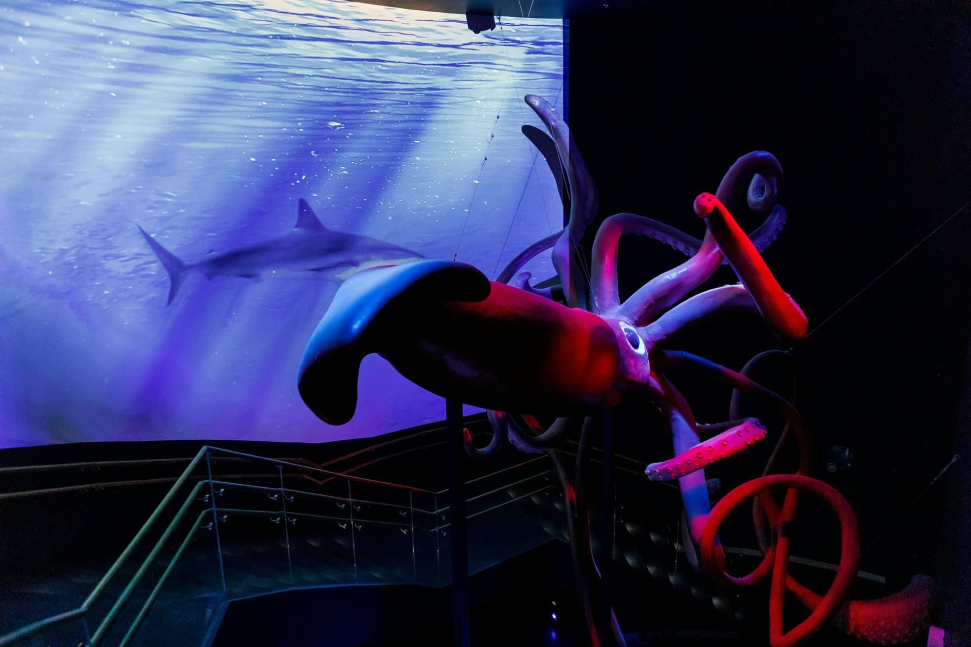 Atlantis Aquarium Madrid Ticket - სურათი 9