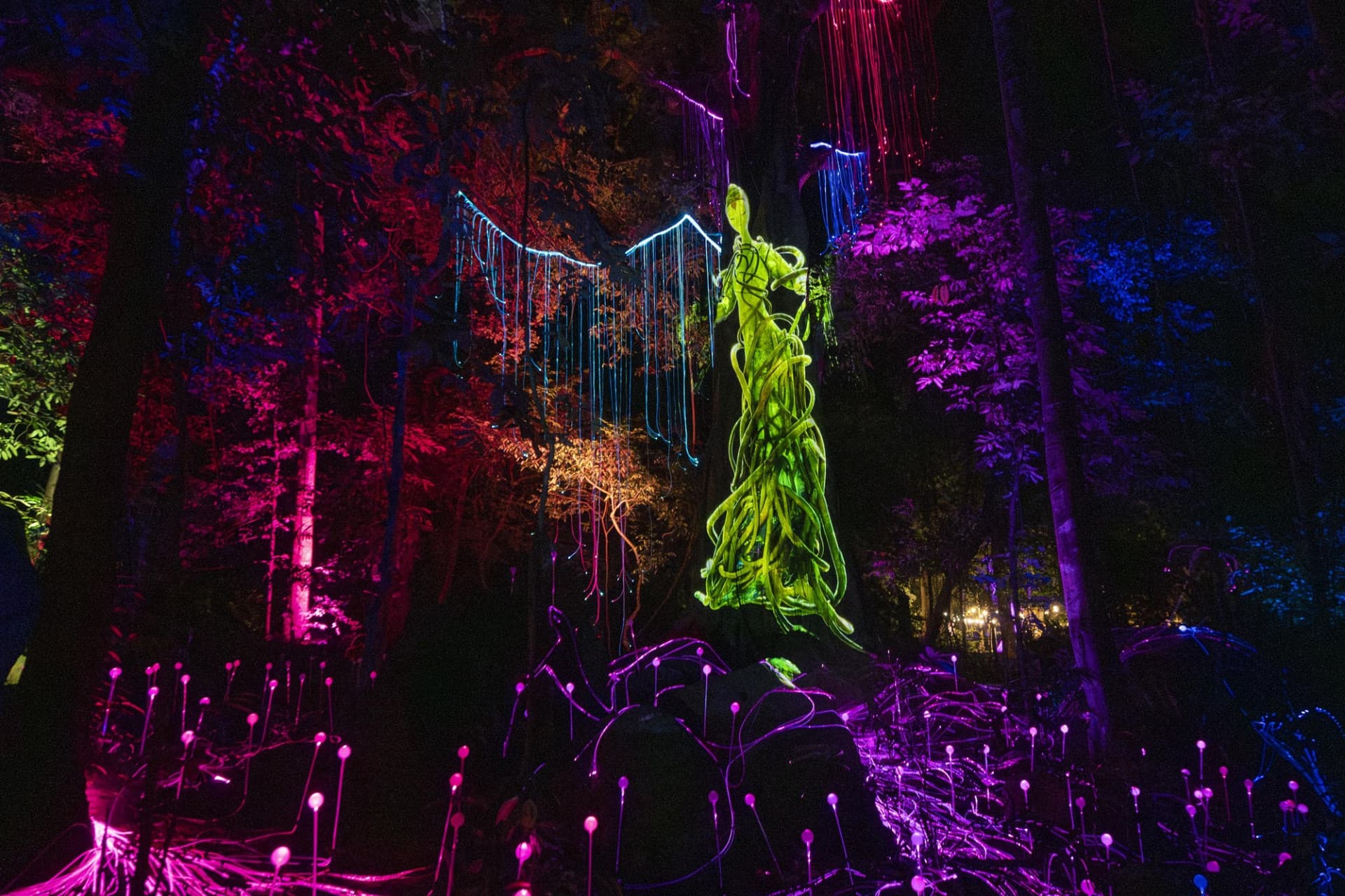 Dream Forest Langkawi - მთავარი სურათი