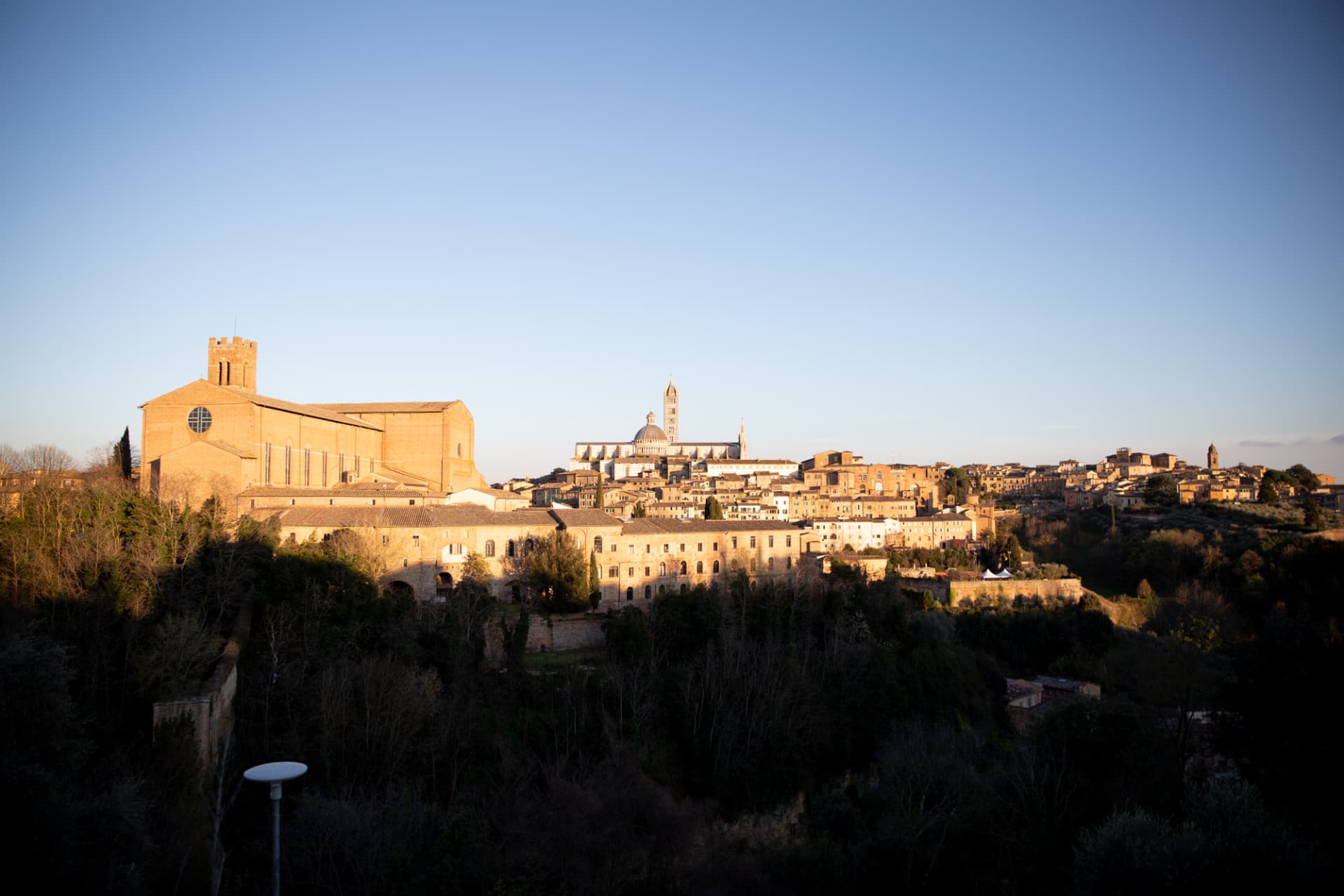 Tuscany Full-Day Tour from Florence: Pisa, Chianti, San Gimignano, Siena - სურათი 13