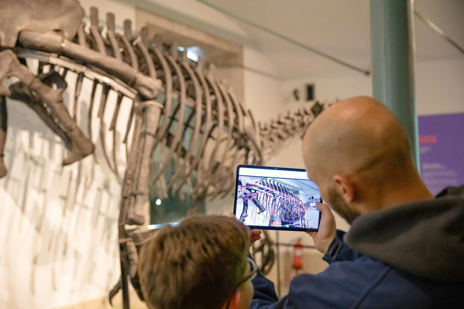 Dino Experience Porto Ticket - სურათი 9