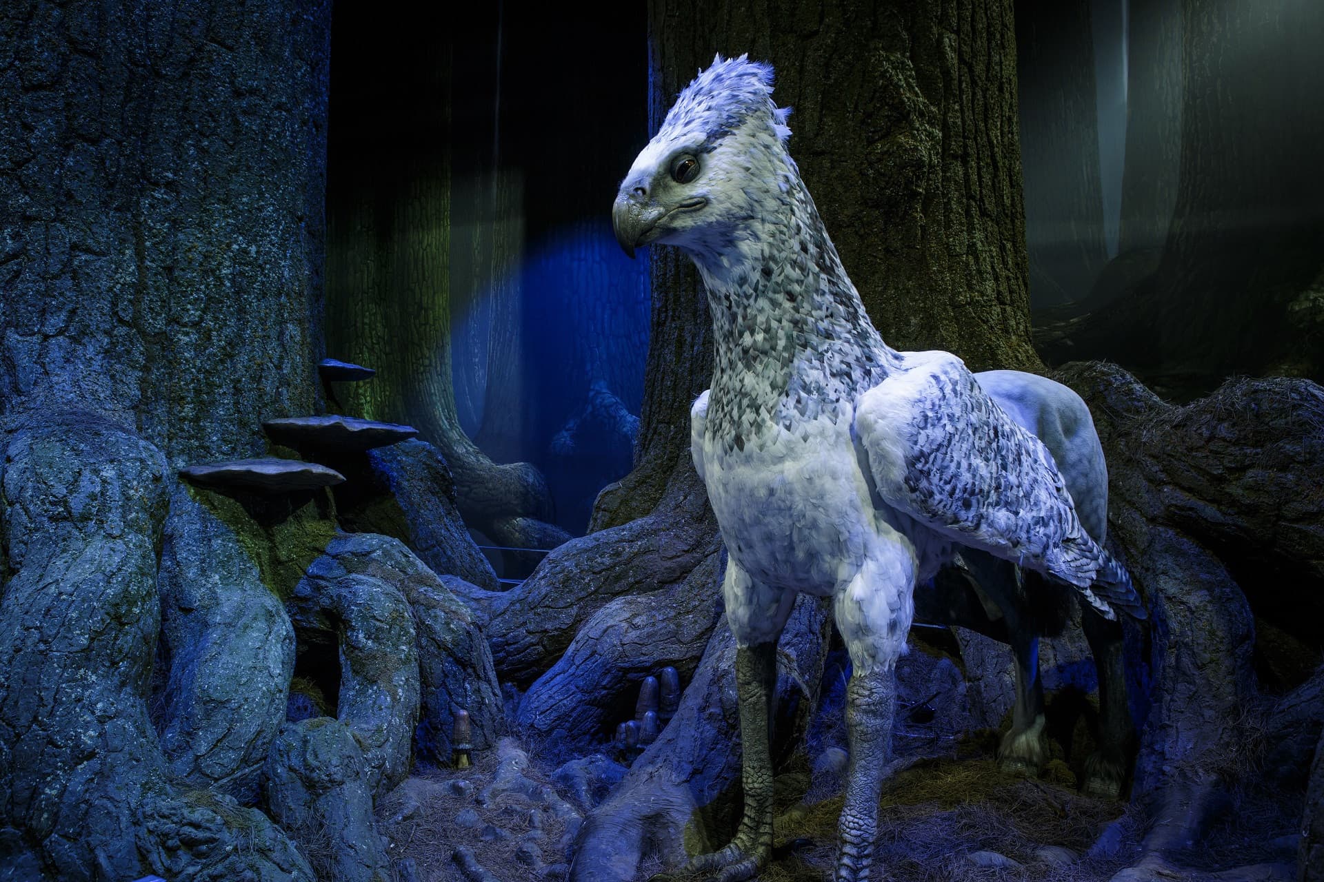 Warner Bros. Studio Tour London - The Making of Harry Potter Ticket with Round Trip Transfer - სურათი 7