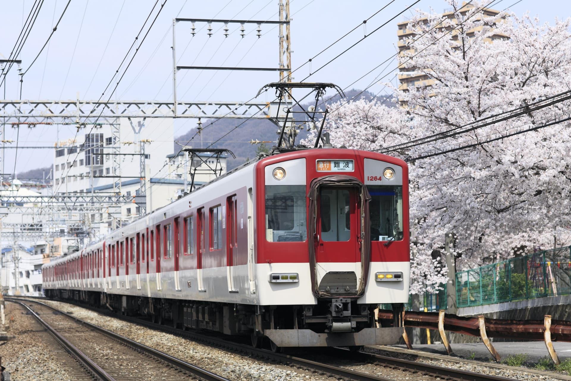 Kansai Railway Pass - სურათი 5