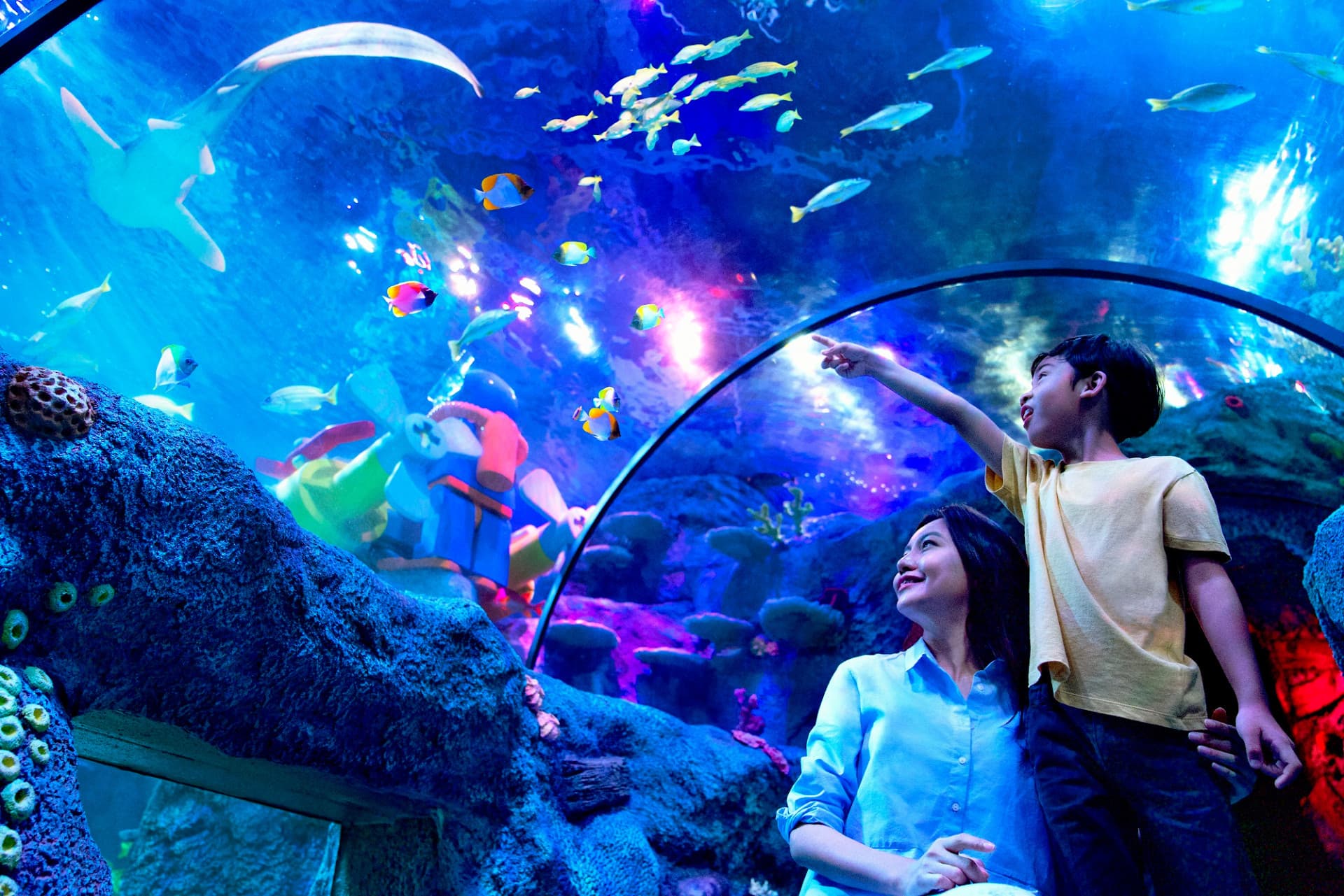 LEGOLAND Malaysia Resort Ticket - სურათი 12