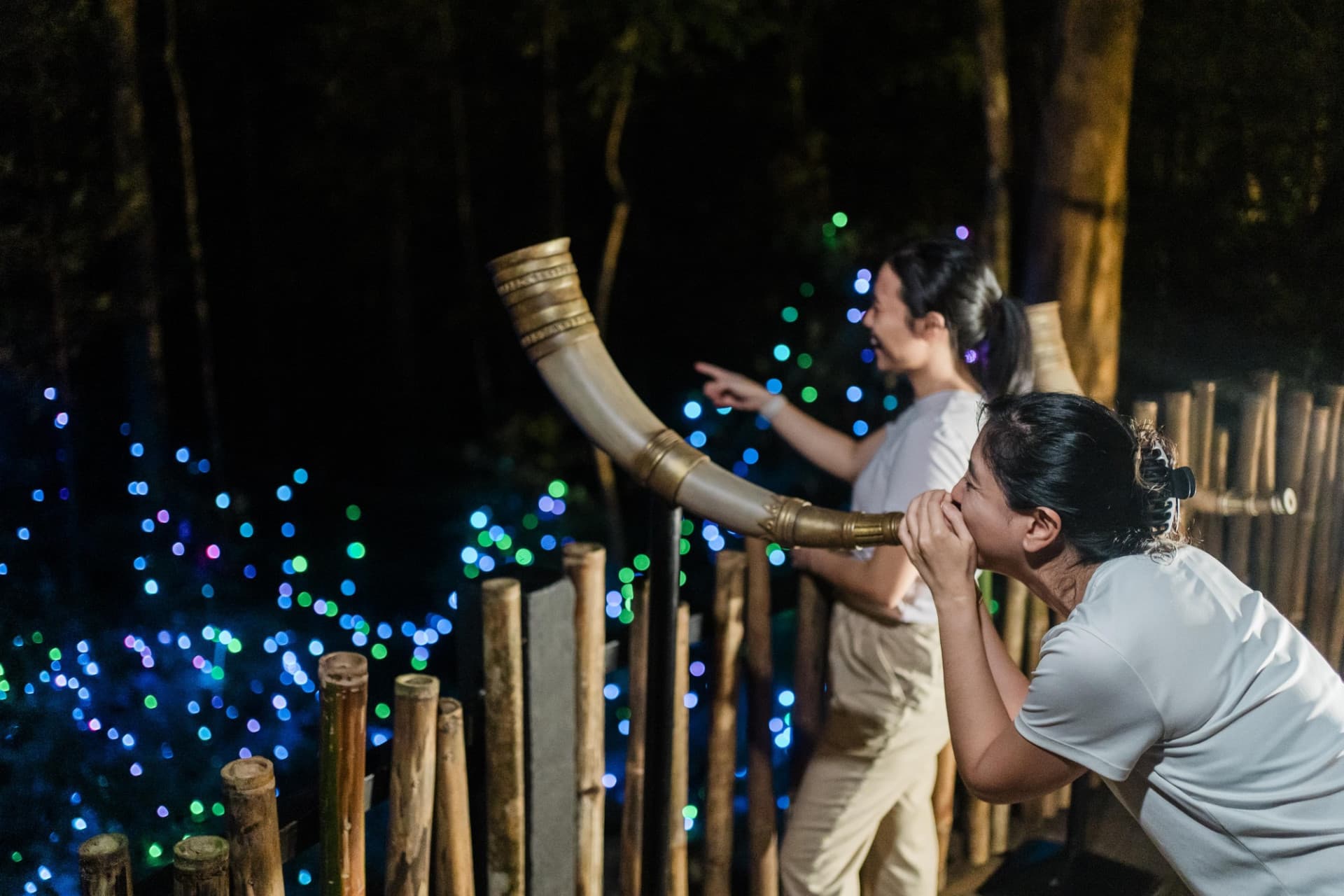 Dream Forest Langkawi - სურათი 6