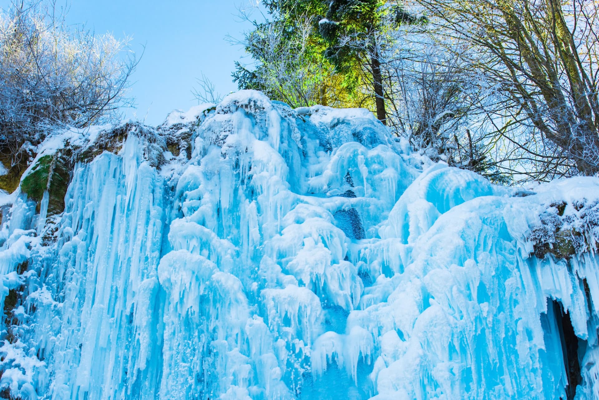 Nami Island, Petite France, Italian Village, and Garden of Morning Calm Tour from Seoul - სურათი 12