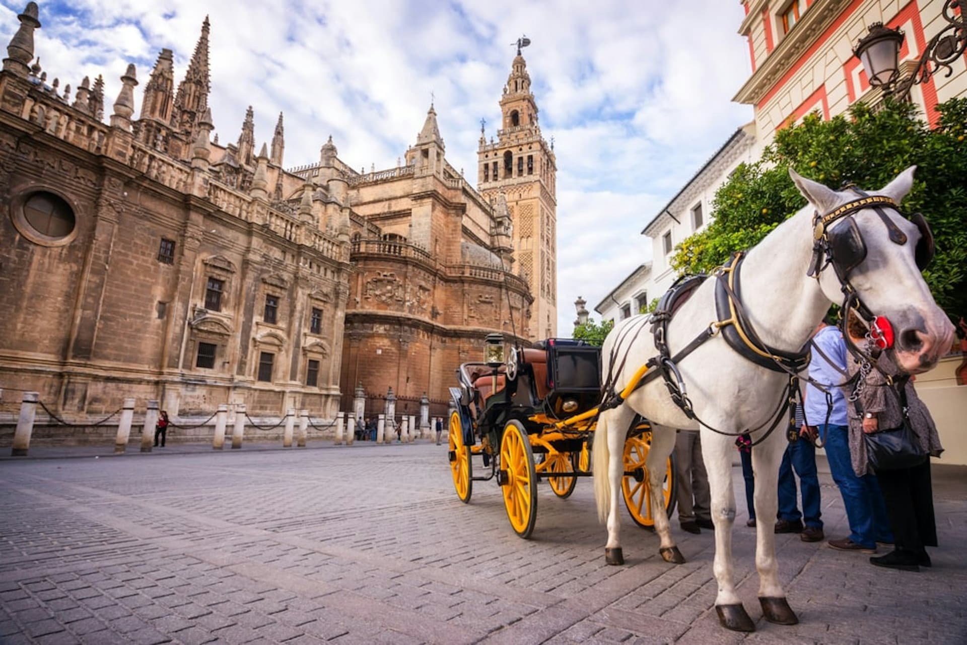 Seville Self-Guided City Tour App - მთავარი სურათი