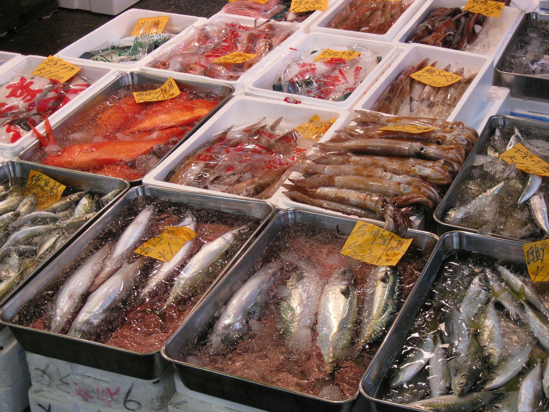 Tsukiji Outer Market Breakfast Tour - სურათი 2