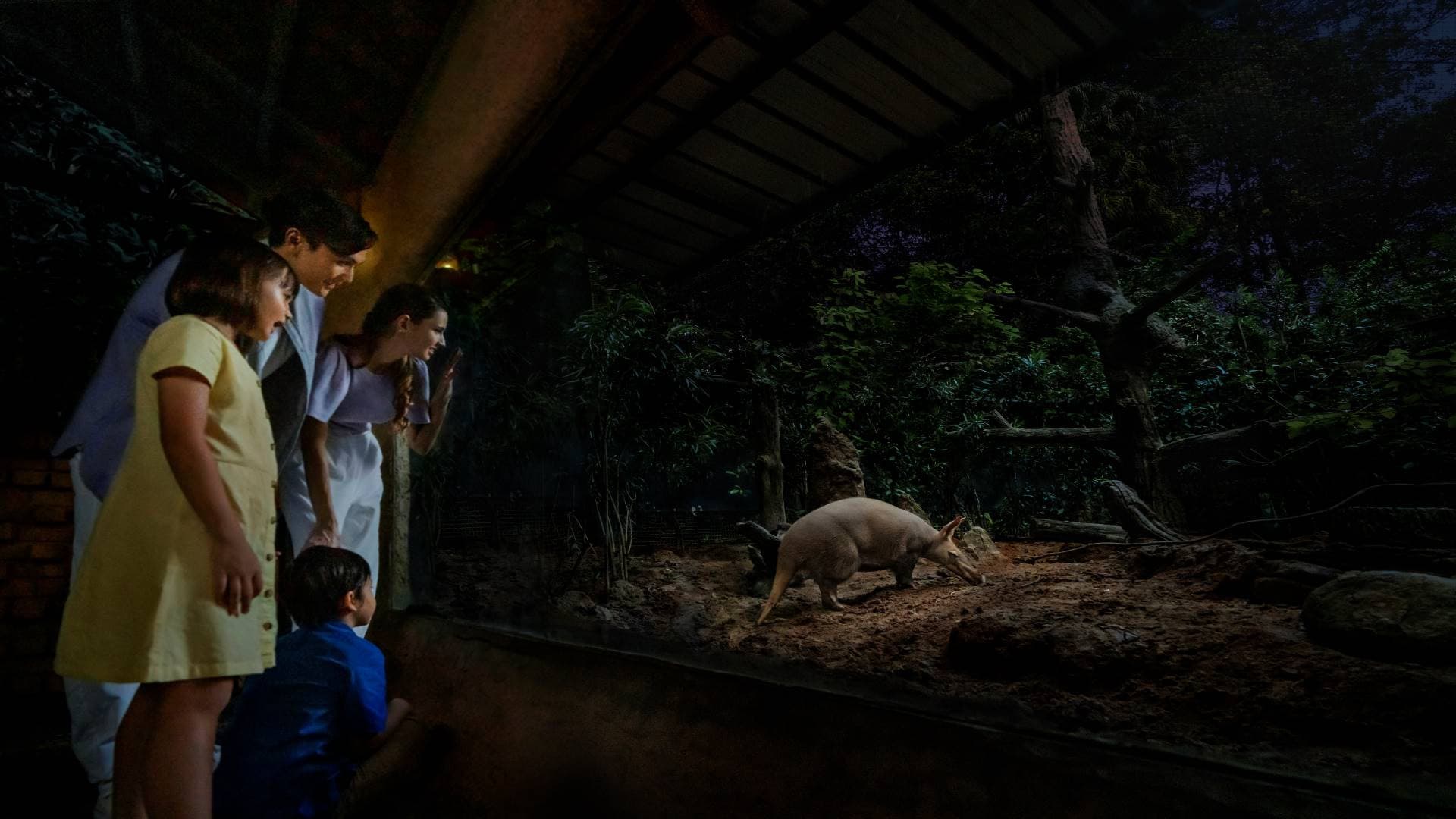 Singapore Night Safari Ticket - სურათი 5