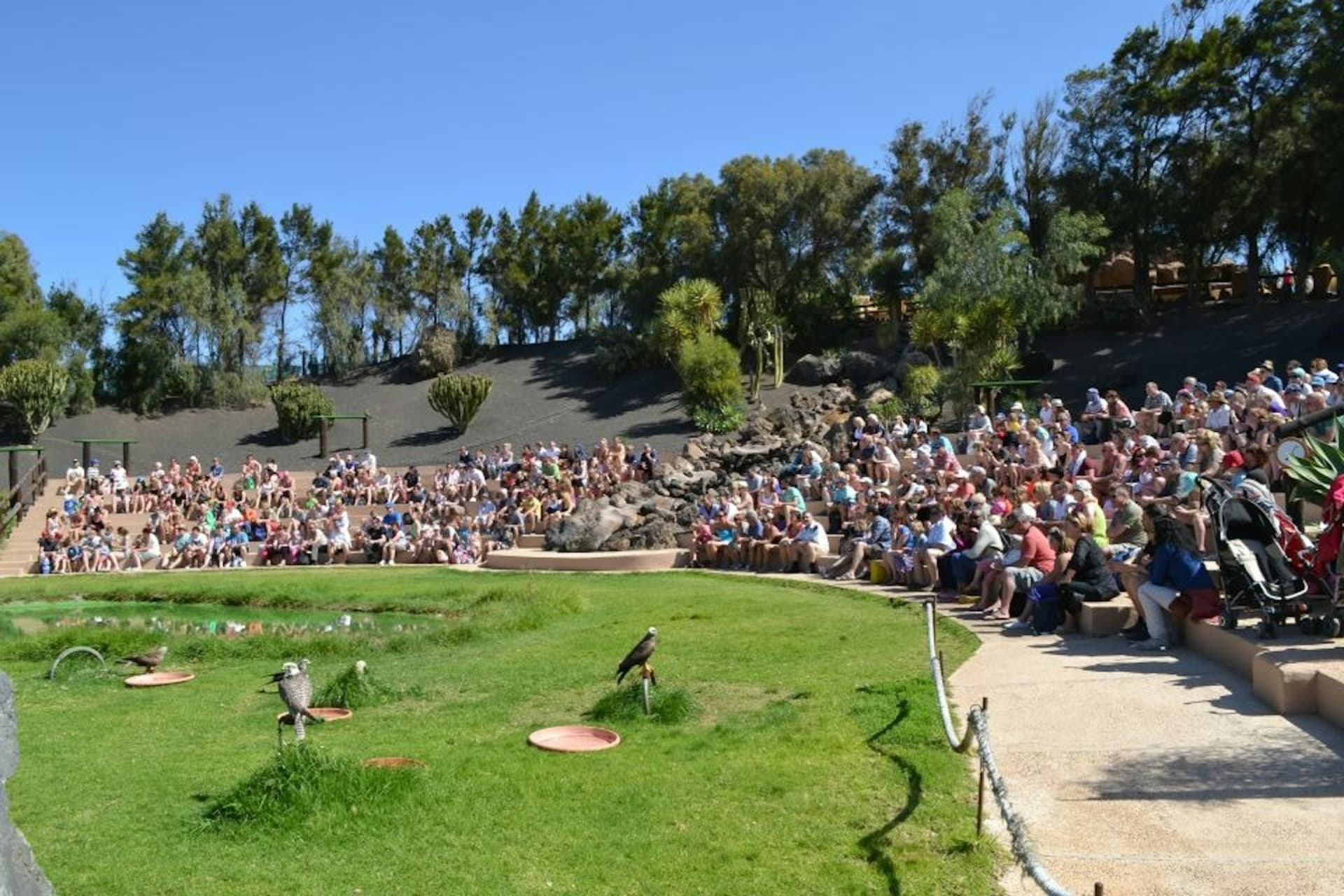 Rancho Texas Lanzarote Park Ticket - სურათი 7