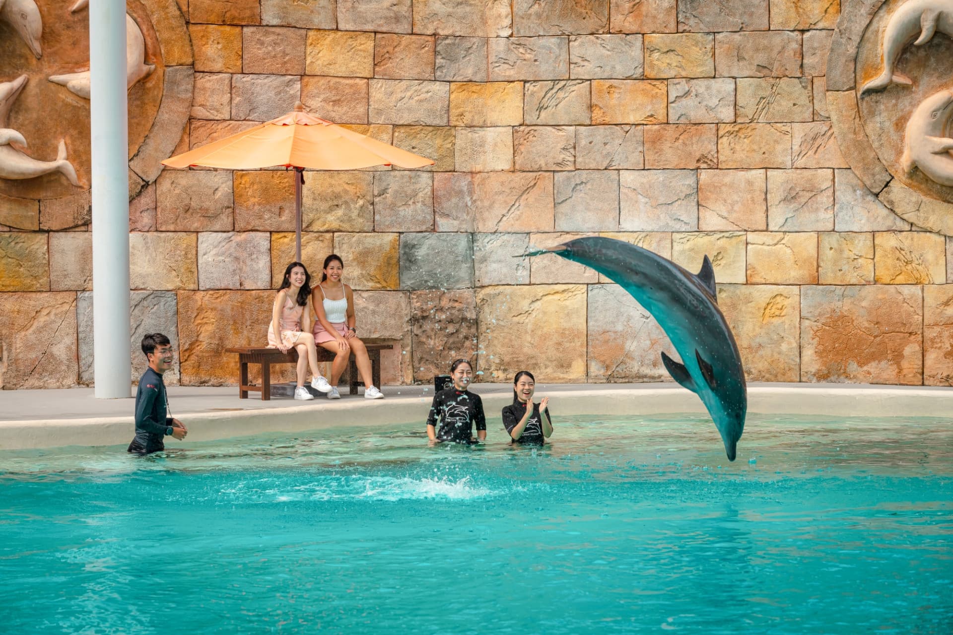 Dolphin Experiences at Marine Mammal Habitat Sentosa - სურათი 6