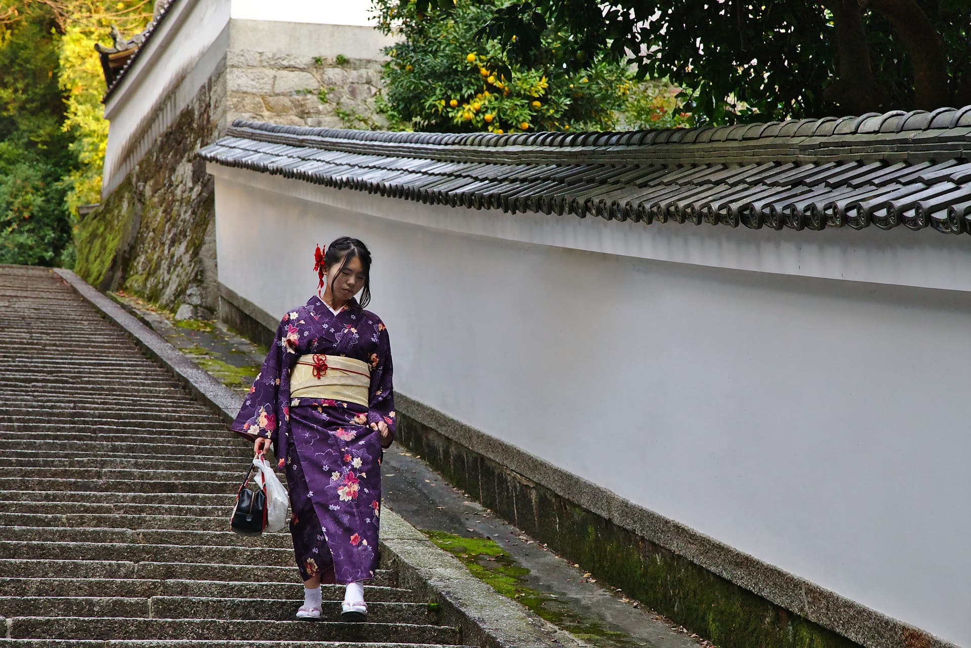 Kyoto-Osaka Sightseeing Pass - სურათი 9