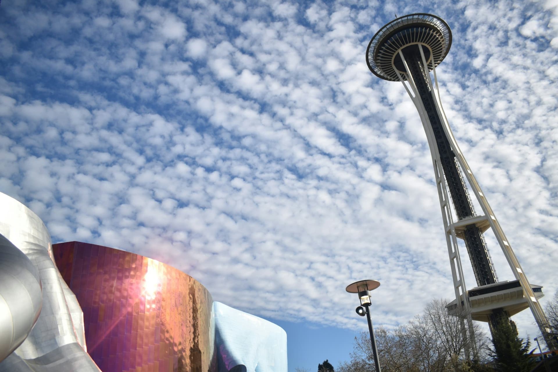 Seattle Center & Space Needle: Guided Walking Tour - მთავარი სურათი