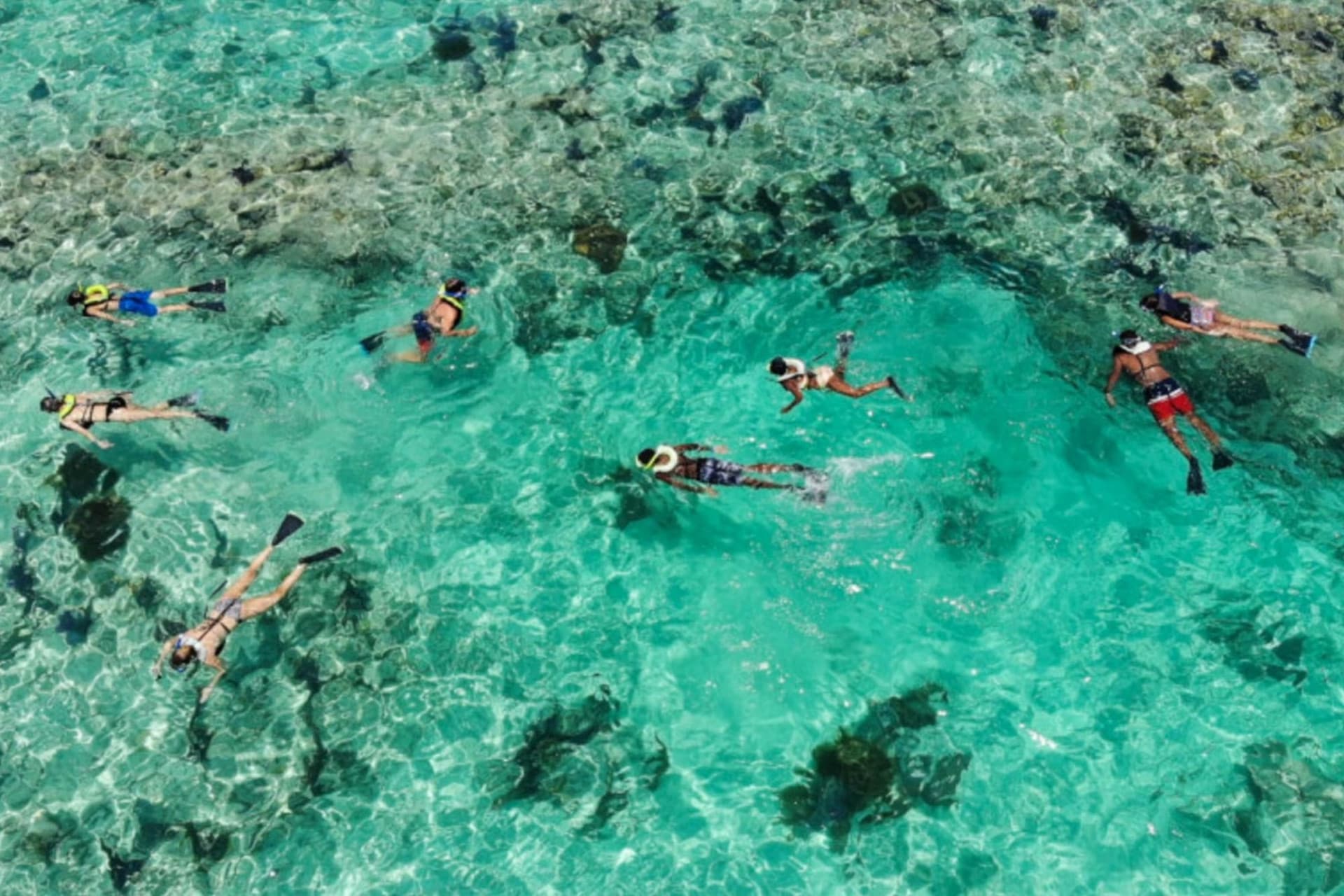 Key West: 3hr Snorkeling Experience with Unlimited Drinks - სურათი 8