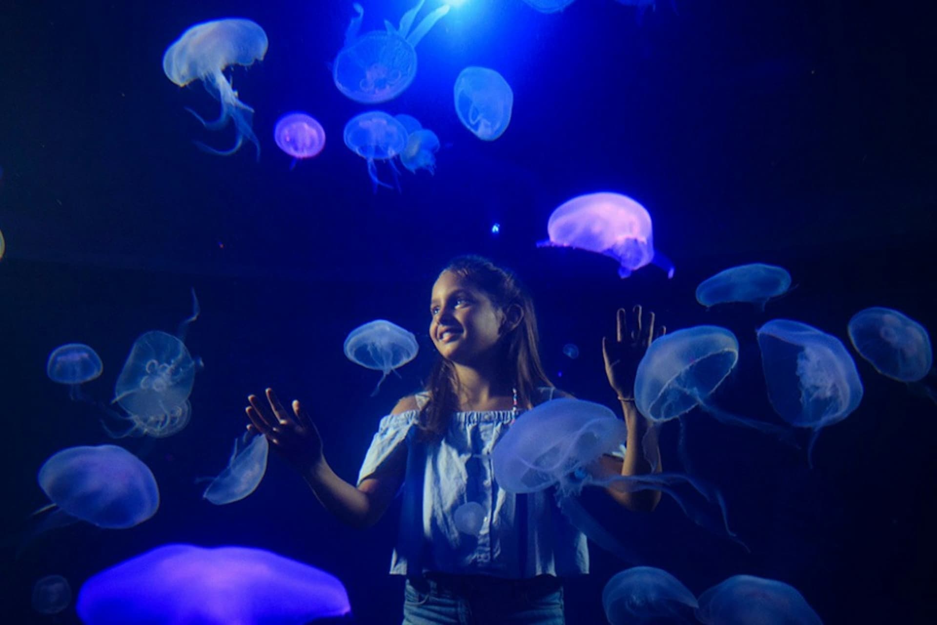 Palma Aquarium: Skip The Line Ticket + Optional 3D Cinema Aquadome - სურათი 2