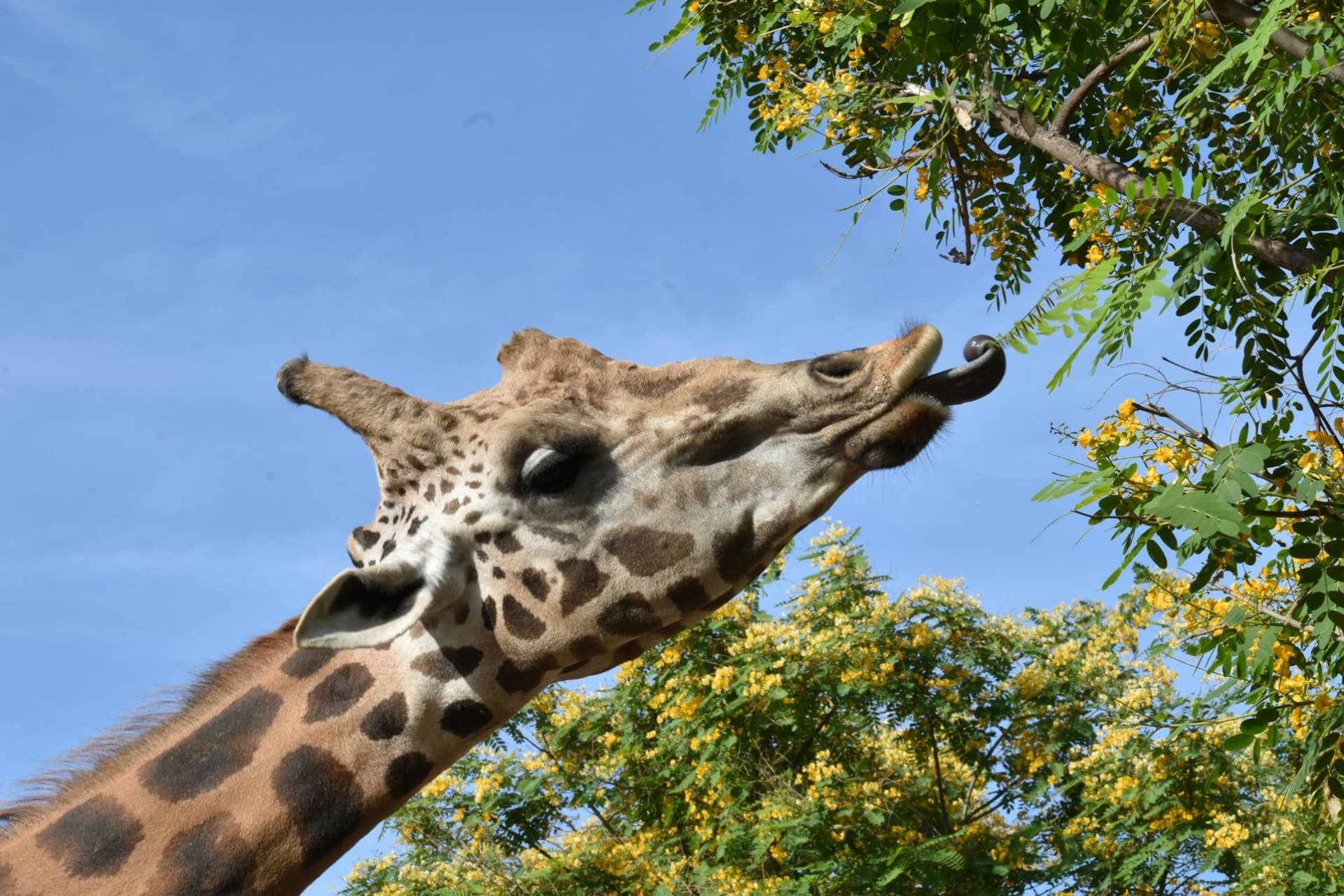 Terra Natura Murcia Ticket - სურათი 4