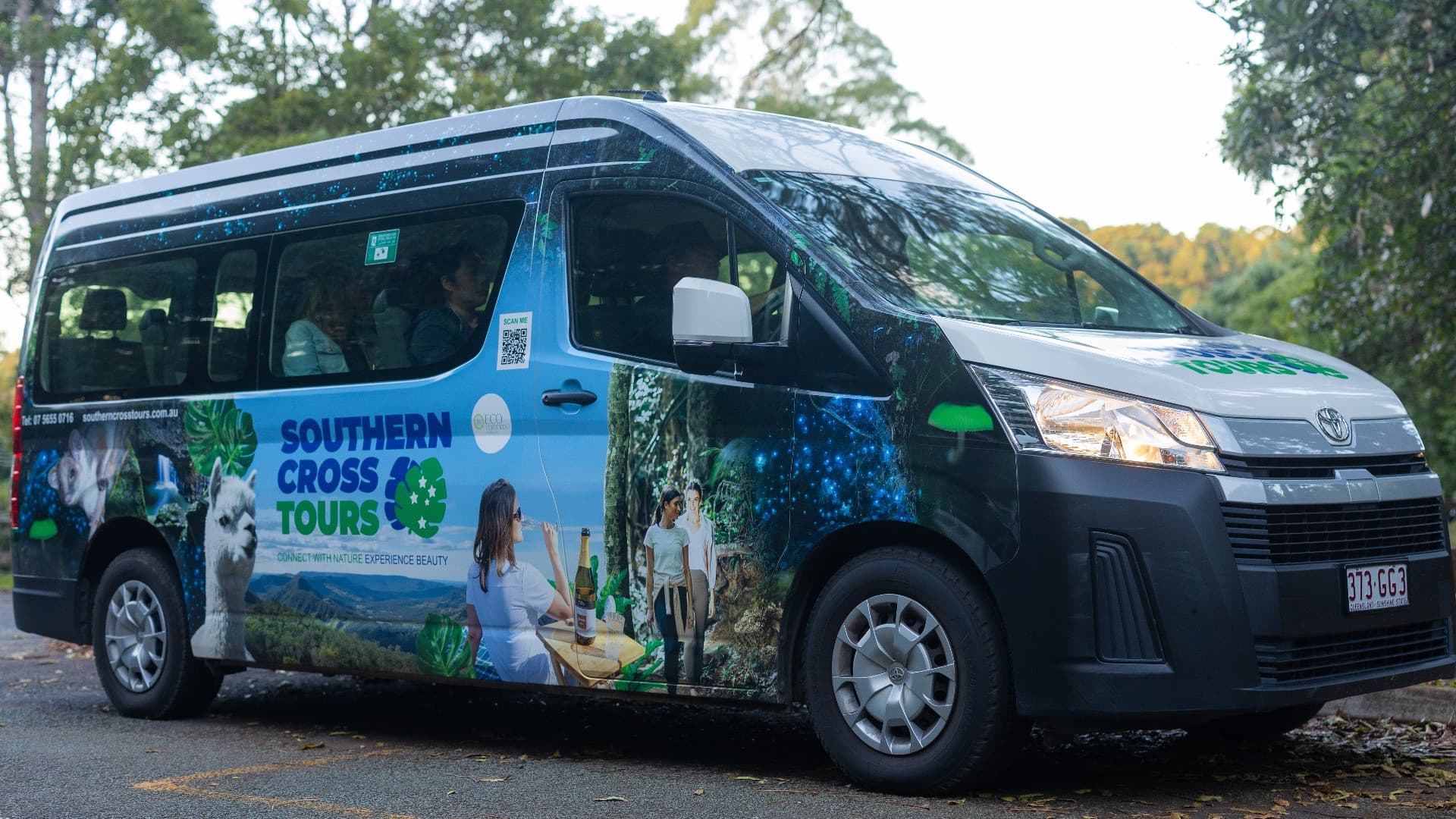 Guided Evening Rainforest Walk and Glow Worms Experience from Gold Coast - სურათი 6