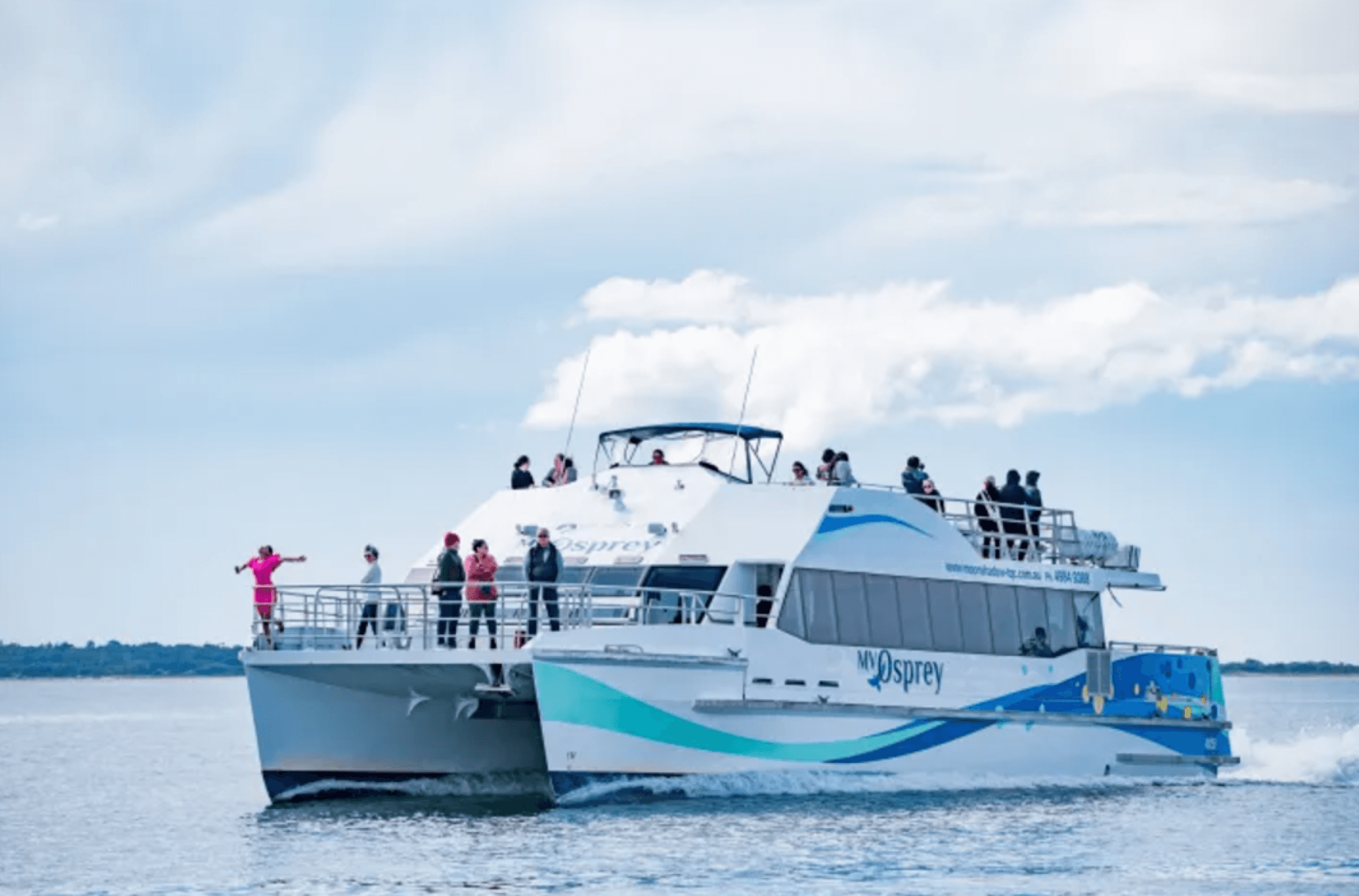 Port Stephens Dolphin Watch and Eco Adventure Cruise - მთავარი სურათი