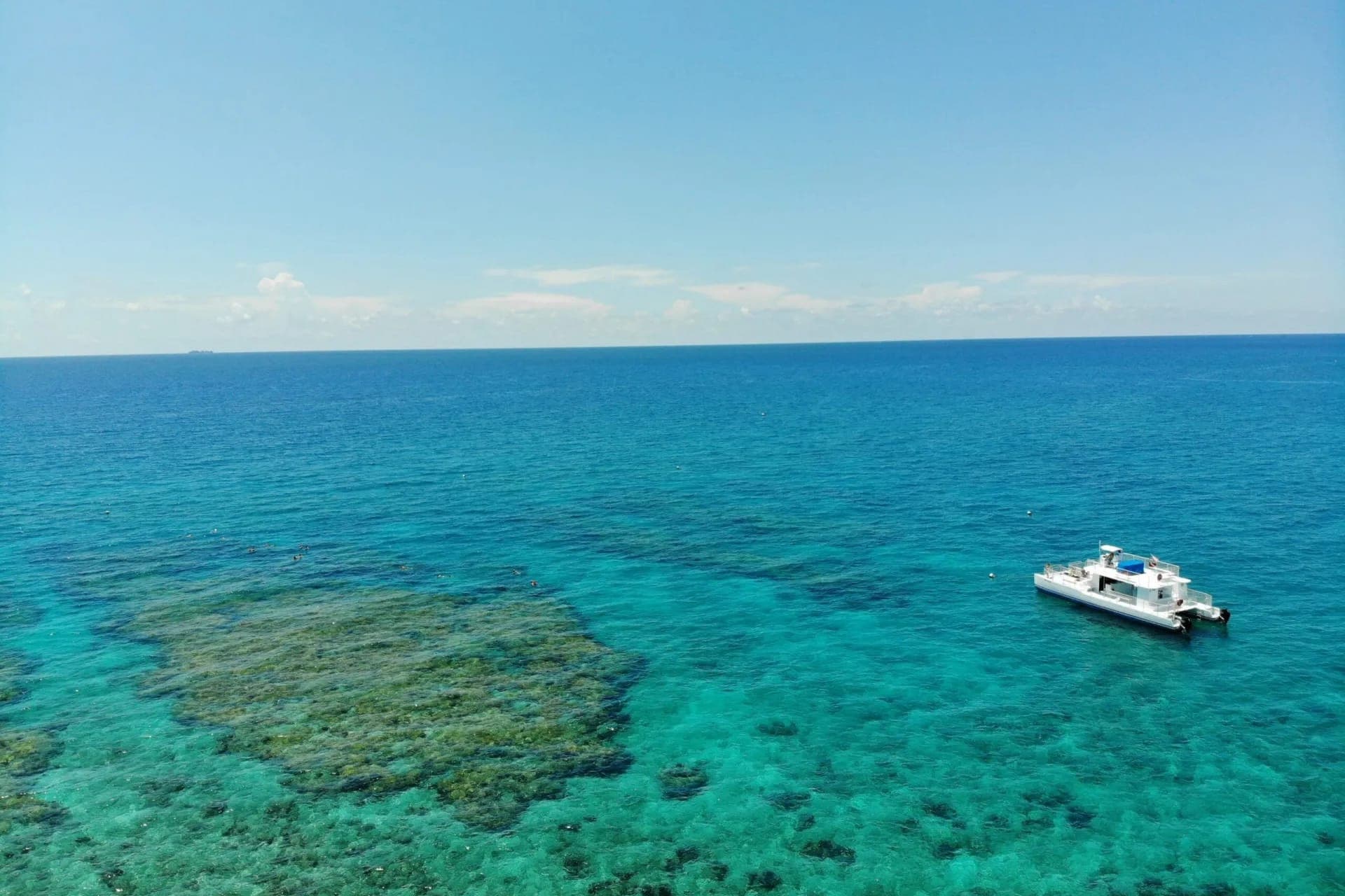 Key West: Dolphin Watching Cruise + Snorkeling + Drinks - სურათი 3