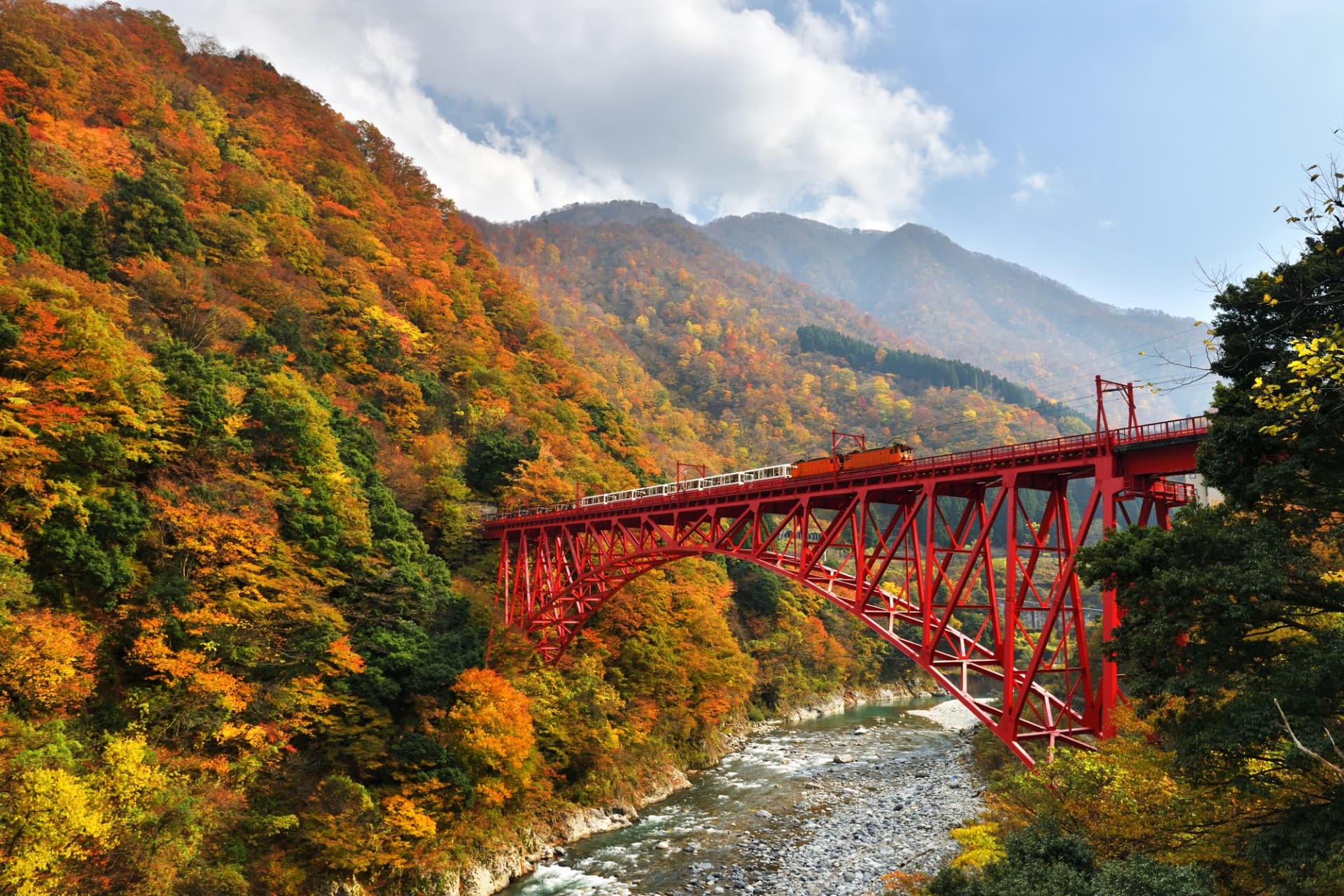 Kurobe Gorge Railway Ticket - სურათი 2