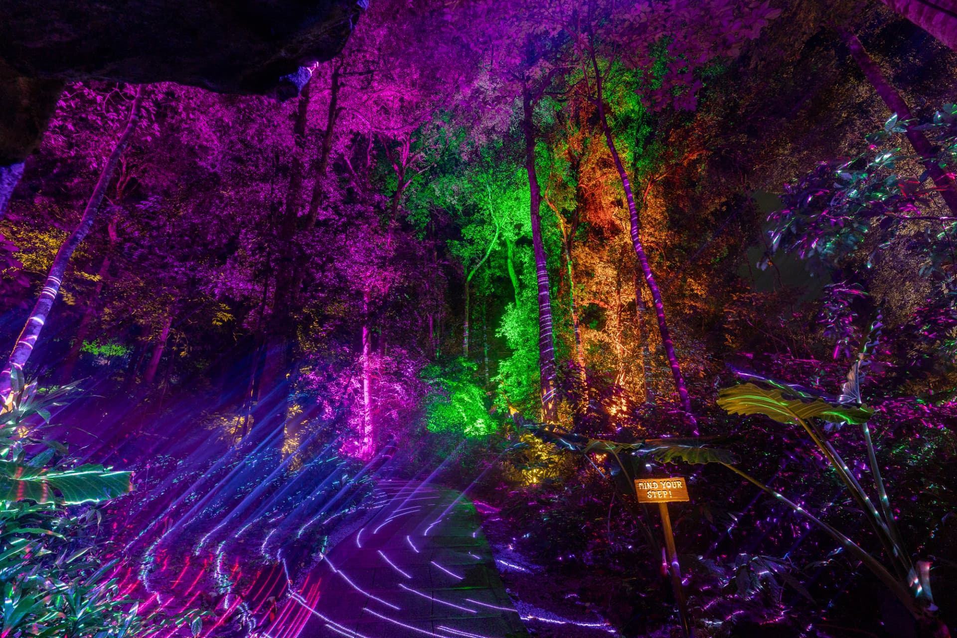 Dream Forest Langkawi - სურათი 2