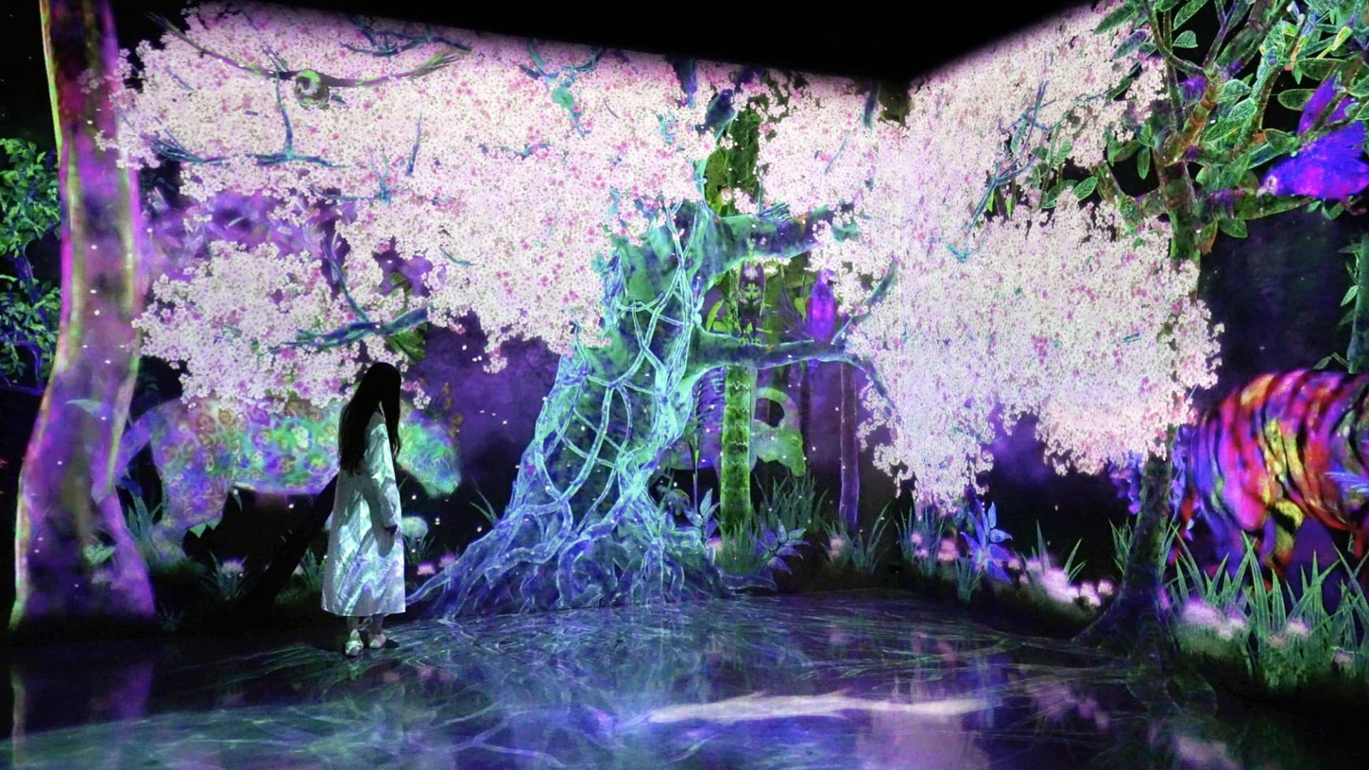 teamLab Forest Fukuoka - მთავარი სურათი
