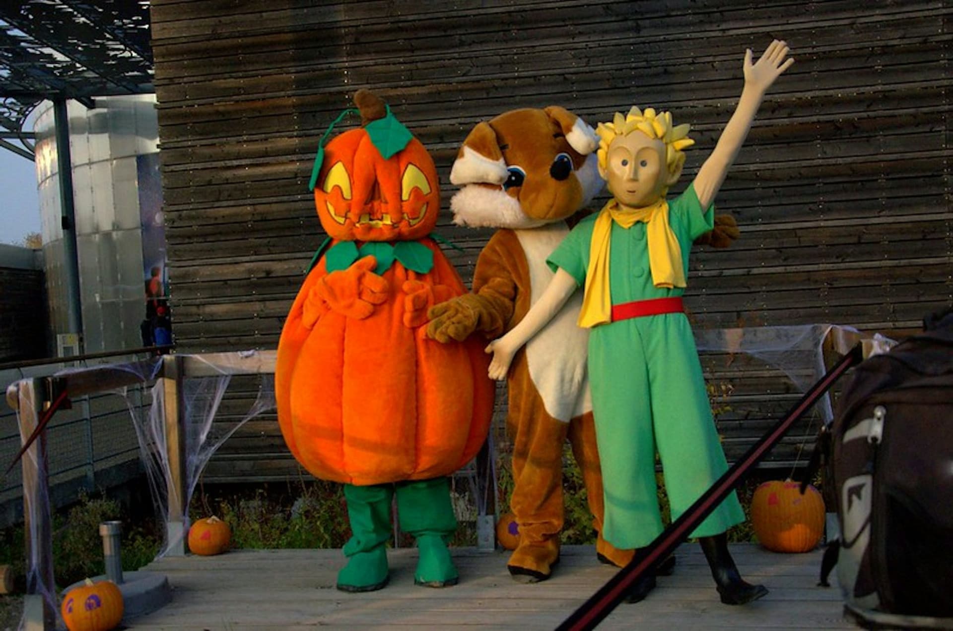 Le Parc du Petit Prince: Fast Track Ticket - სურათი 6