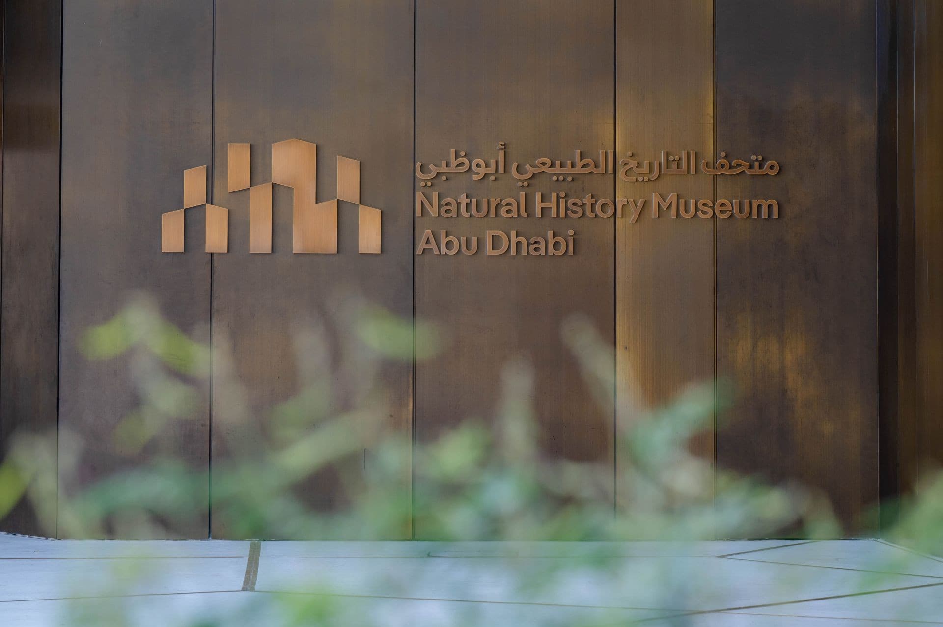 Natural History Museum Abu Dhabi Ticket - სურათი 6