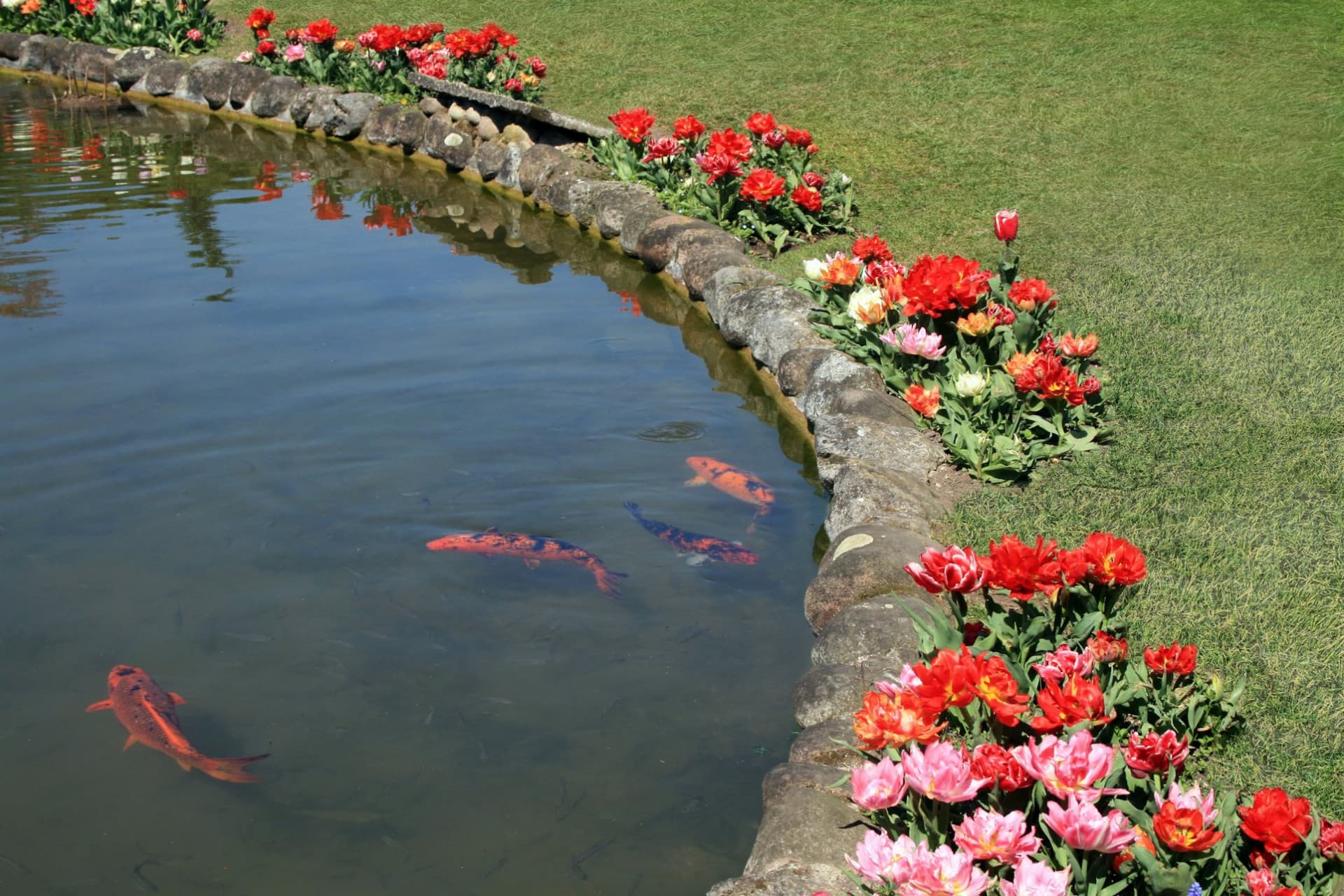 Parco Giardino Sigurtà Ticket - სურათი 7