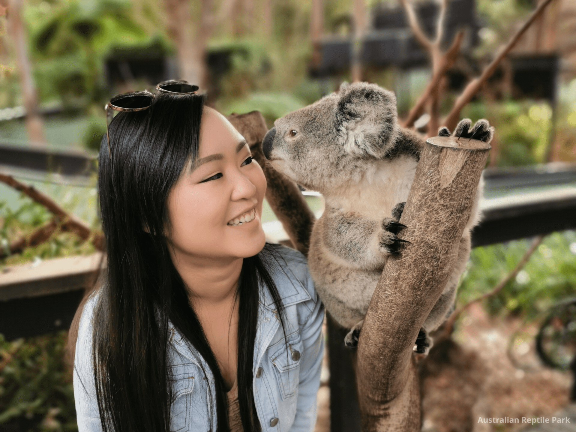 Australian Reptile Park - სურათი 25