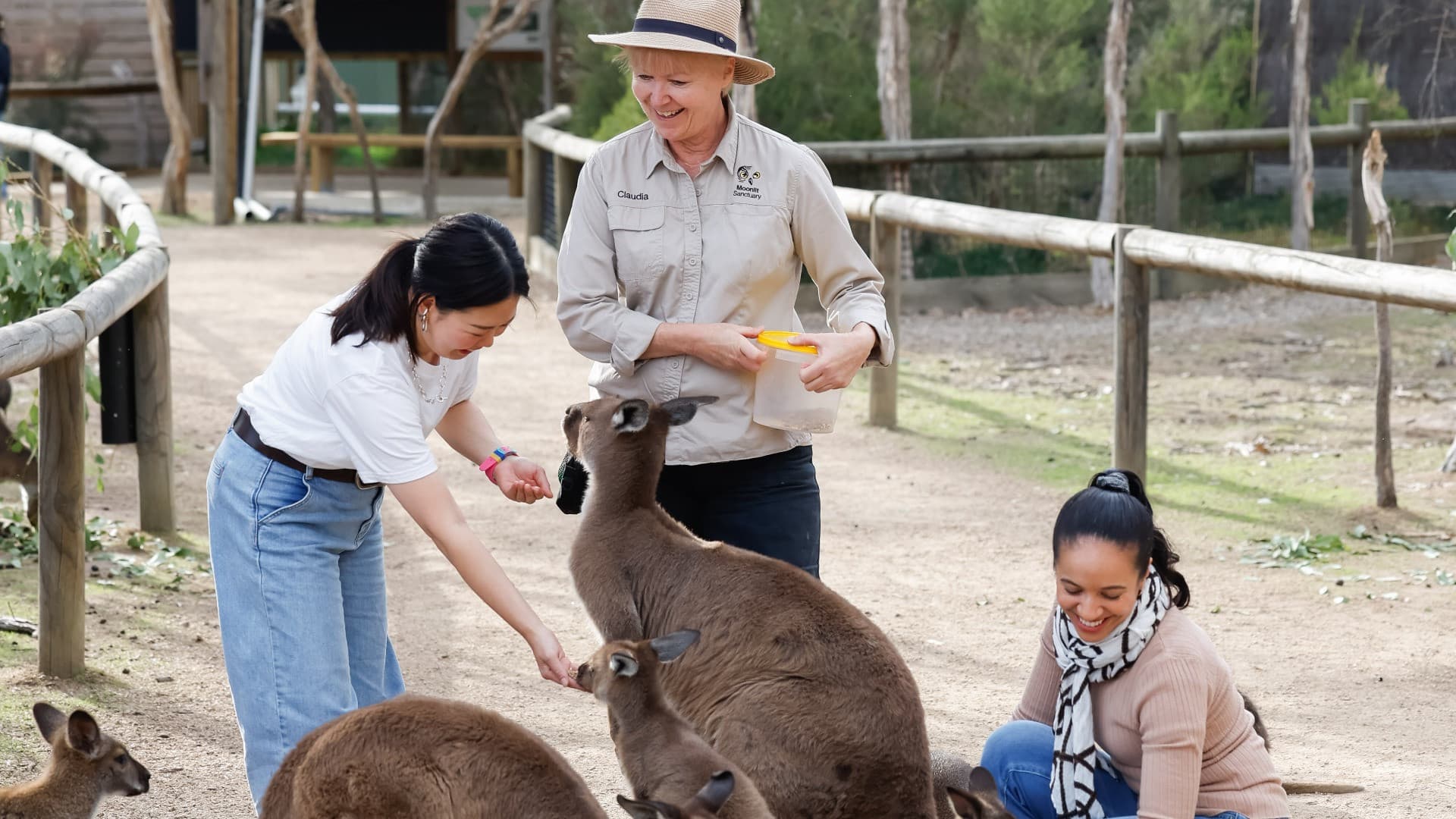 Moonlit Sanctuary Wildlife Conservation Park Ticket - სურათი 4