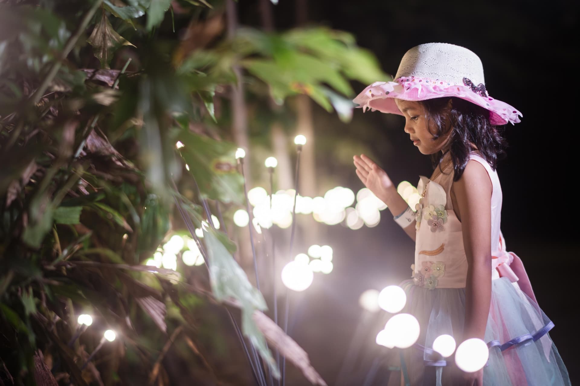 Dream Forest Langkawi - სურათი 7