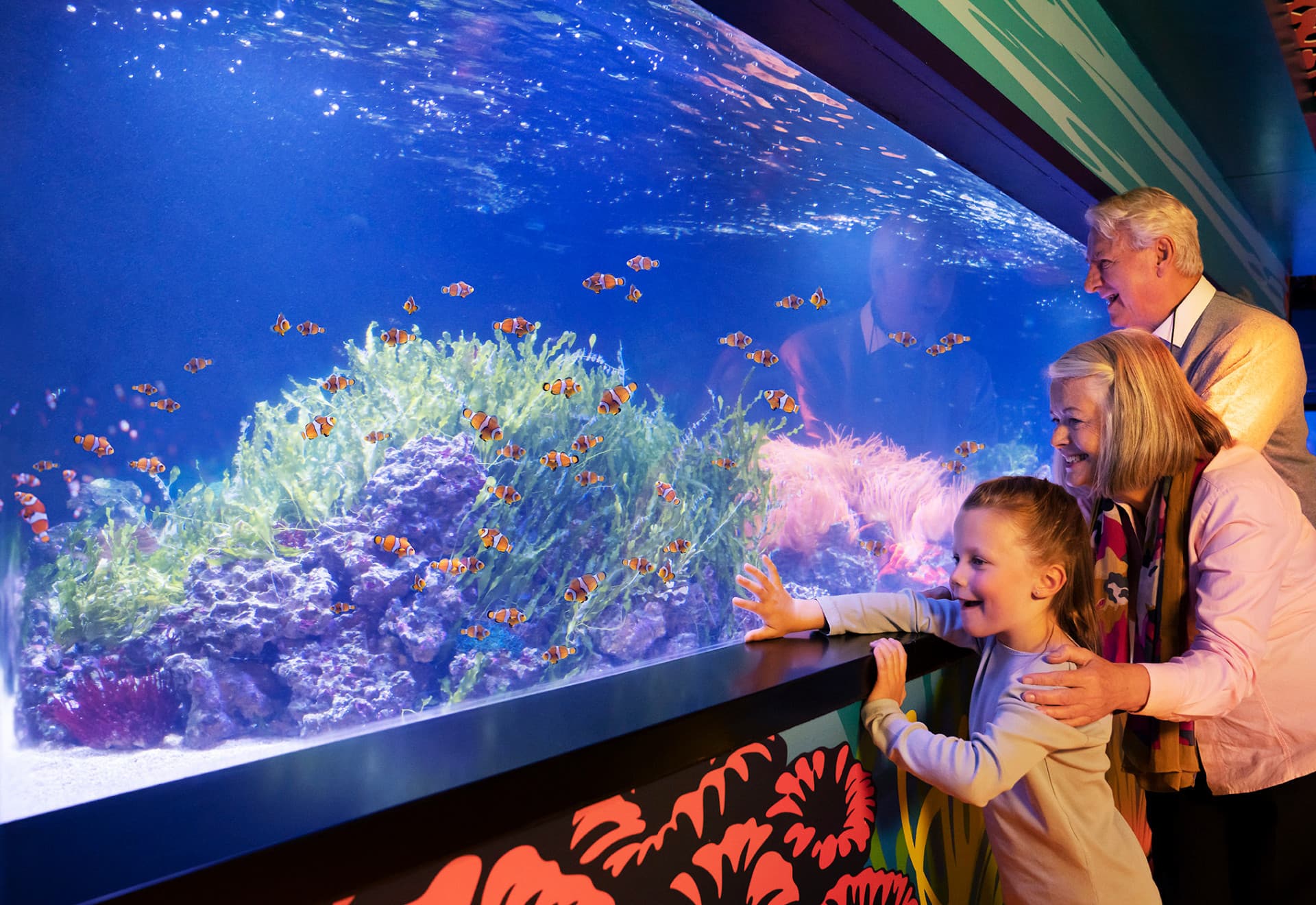 SEA LIFE London Aquarium Ticket - მთავარი სურათი