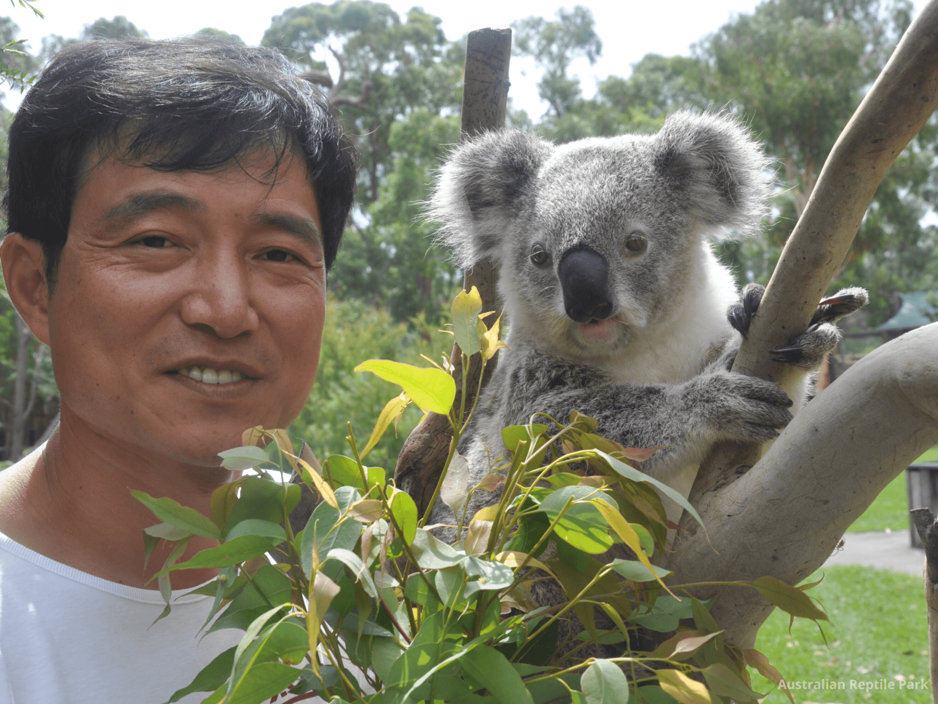 Australian Reptile Park - სურათი 20