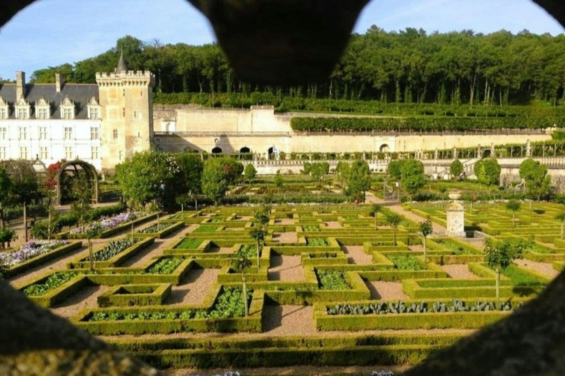 Chateau d'Azay-le-Rideau & Gardens of Villandry: Guided Trip from Tours - სურათი 3