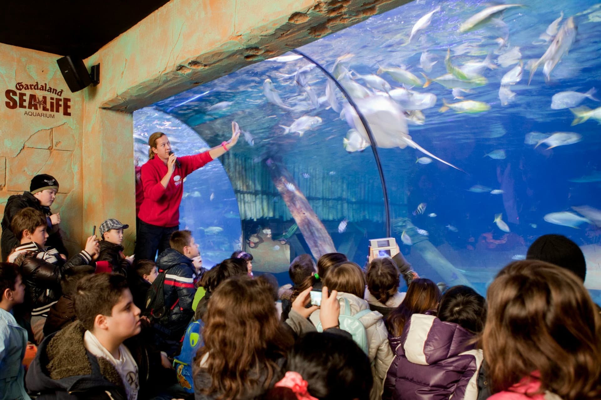 Gardaland SEA LIFE Aquarium Ticket - სურათი 9