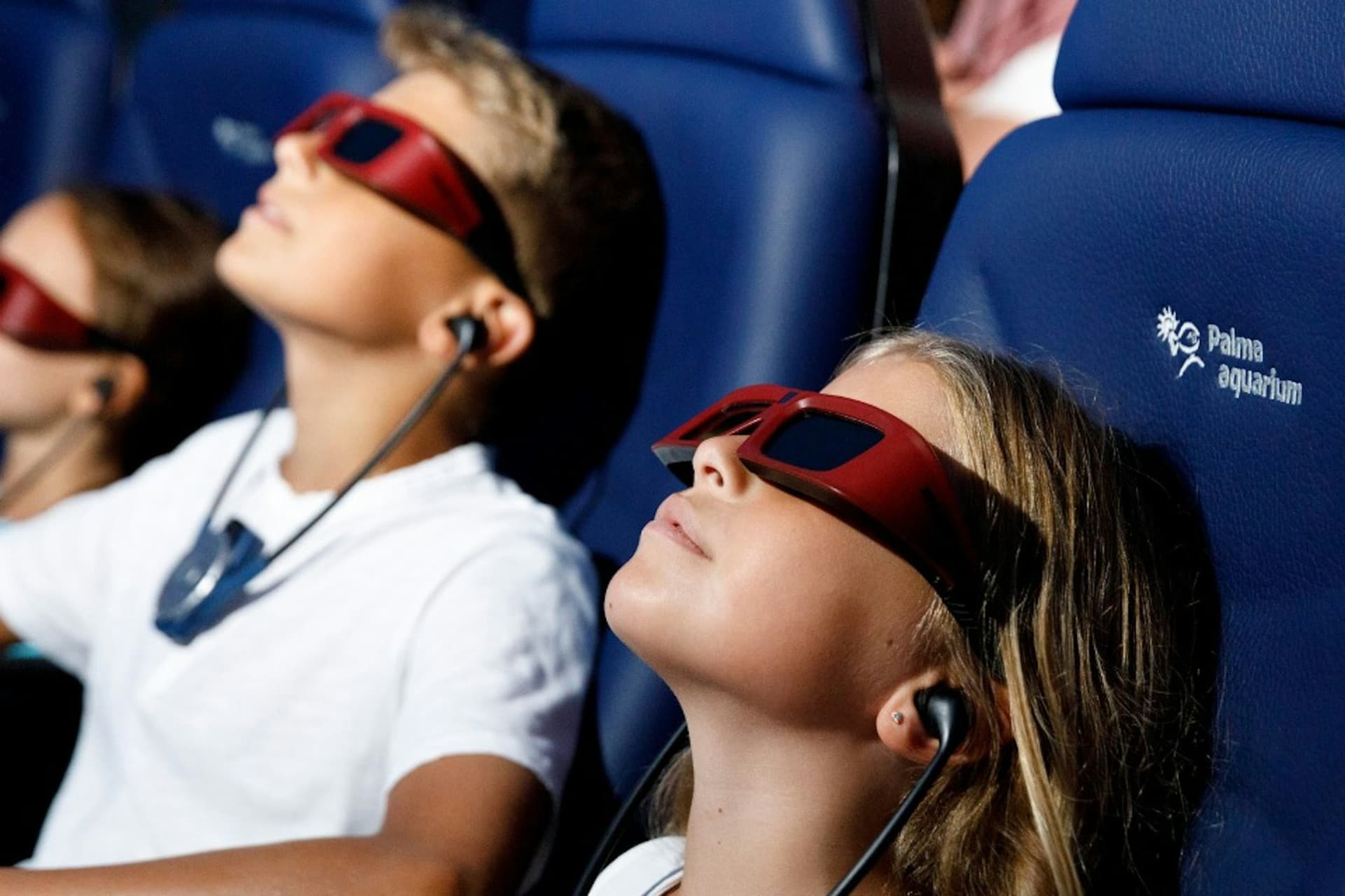 Palma Aquarium: Skip The Line Ticket + Optional 3D Cinema Aquadome - სურათი 4