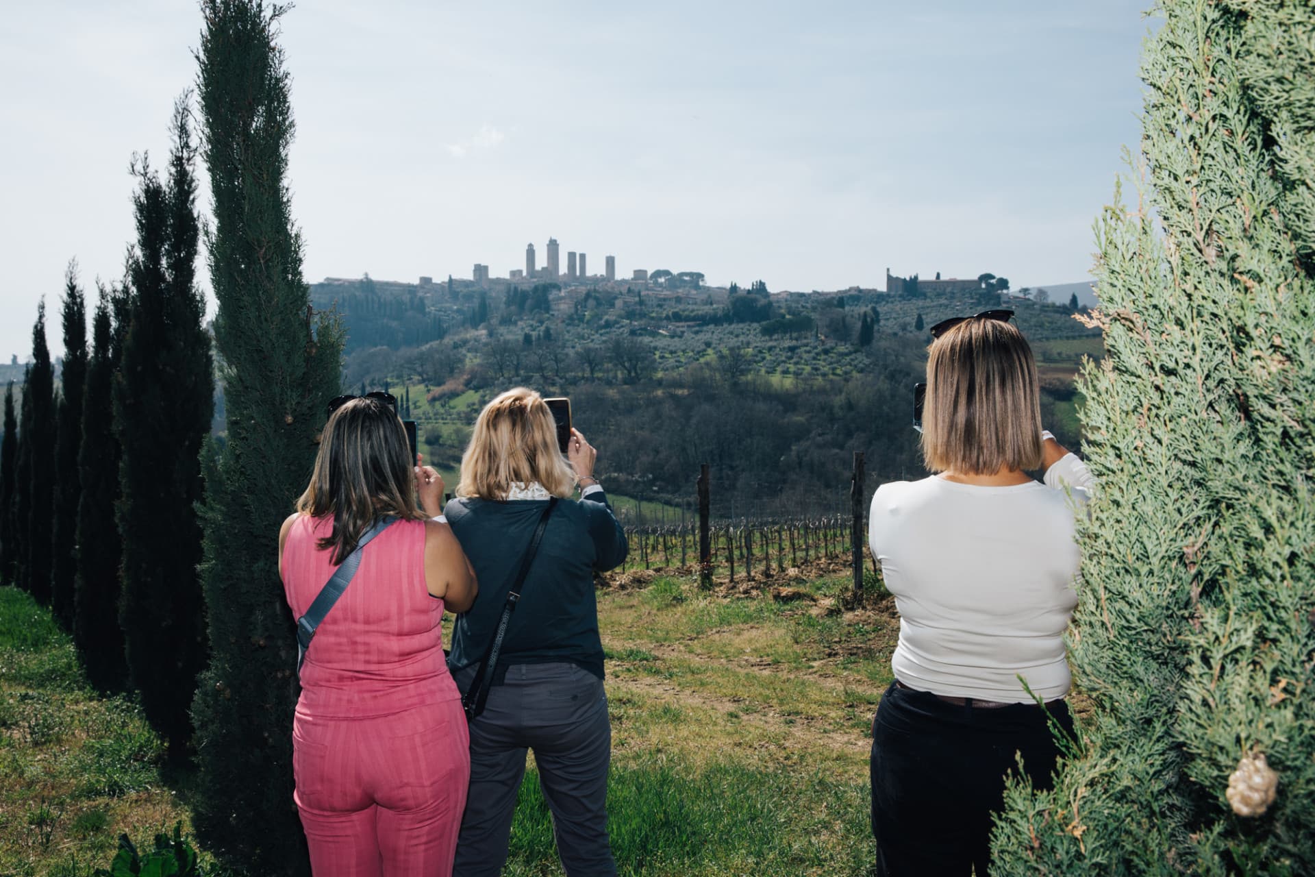 Tuscany Full-Day Tour from Florence: Pisa, Chianti, San Gimignano, Siena - სურათი 6
