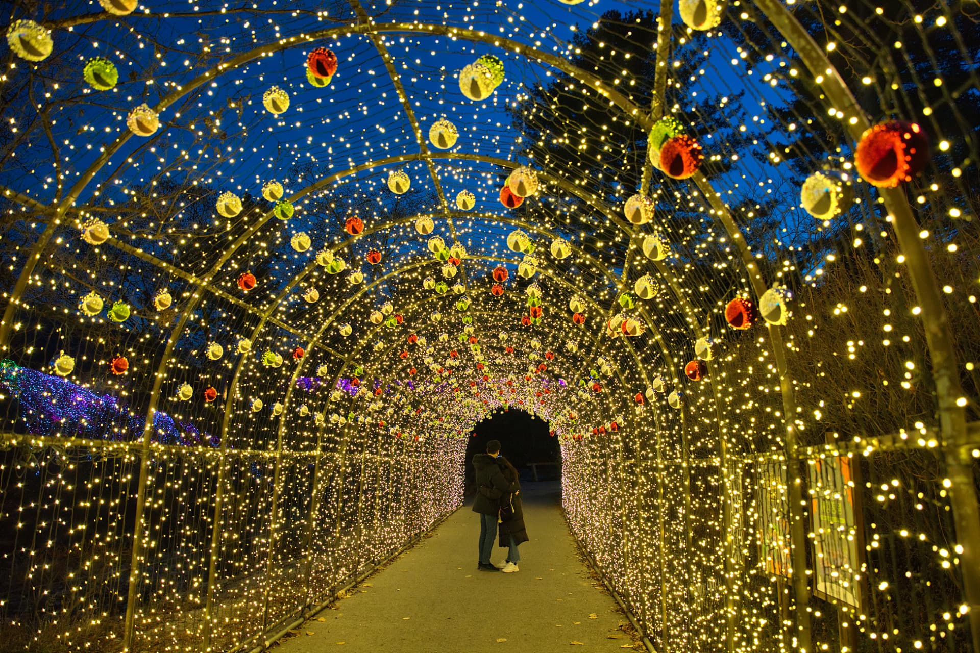 Nami Island, Mount Seorak, and Garden of Morning Calm Full-Day Tour from Seoul - სურათი 10