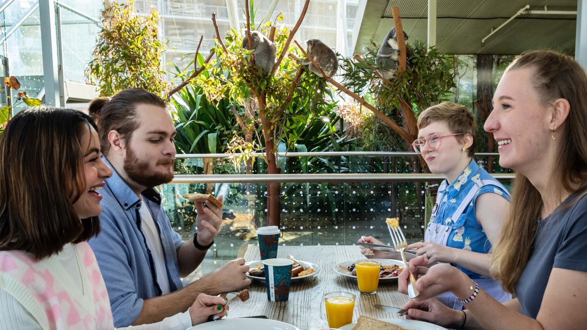 Breakfast with the Koalas at WILD LIFE SYDNEY - მთავარი სურათი