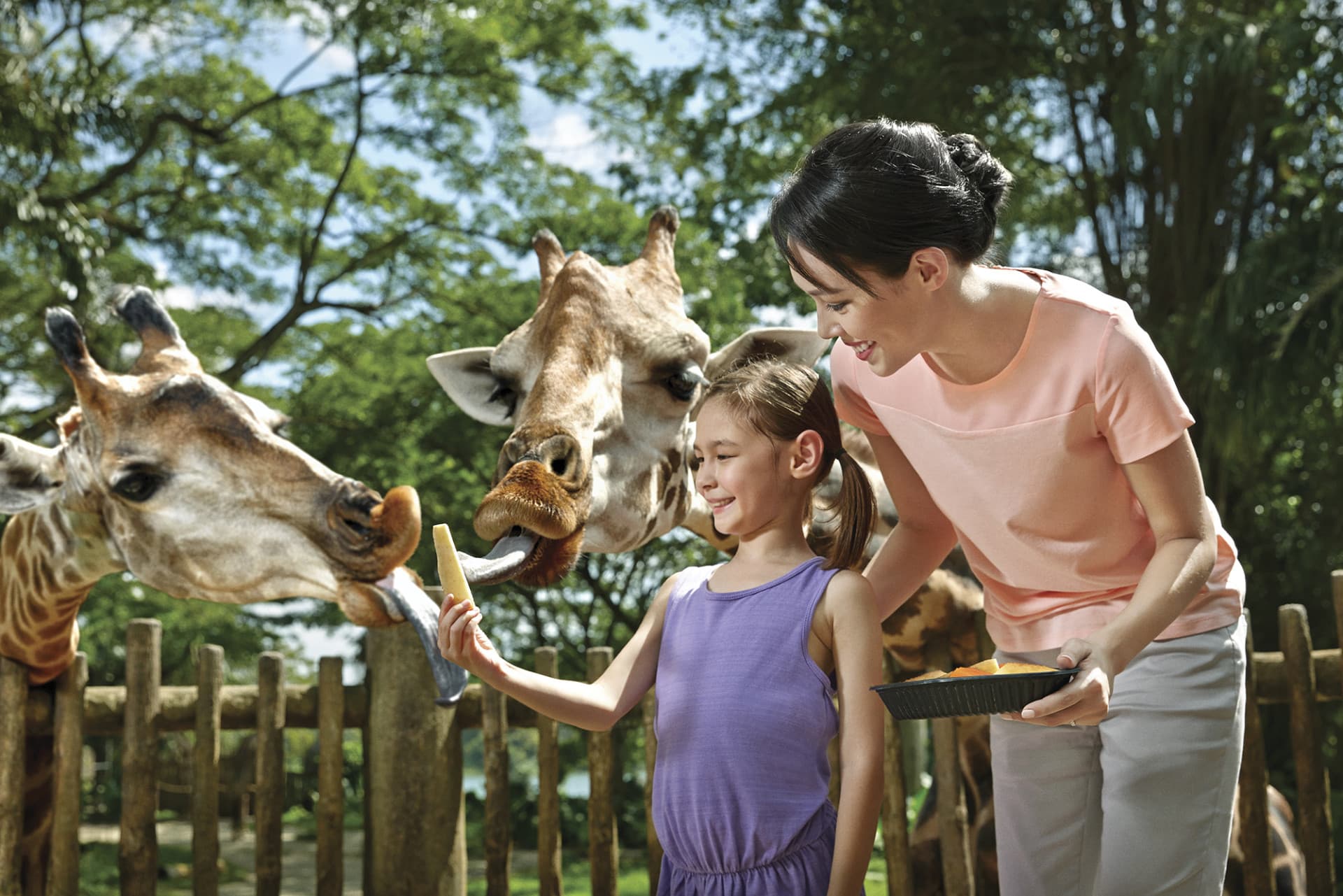 Go City Singapore All-Inclusive Pass: Save up to 50% on Attractions - სურათი 17