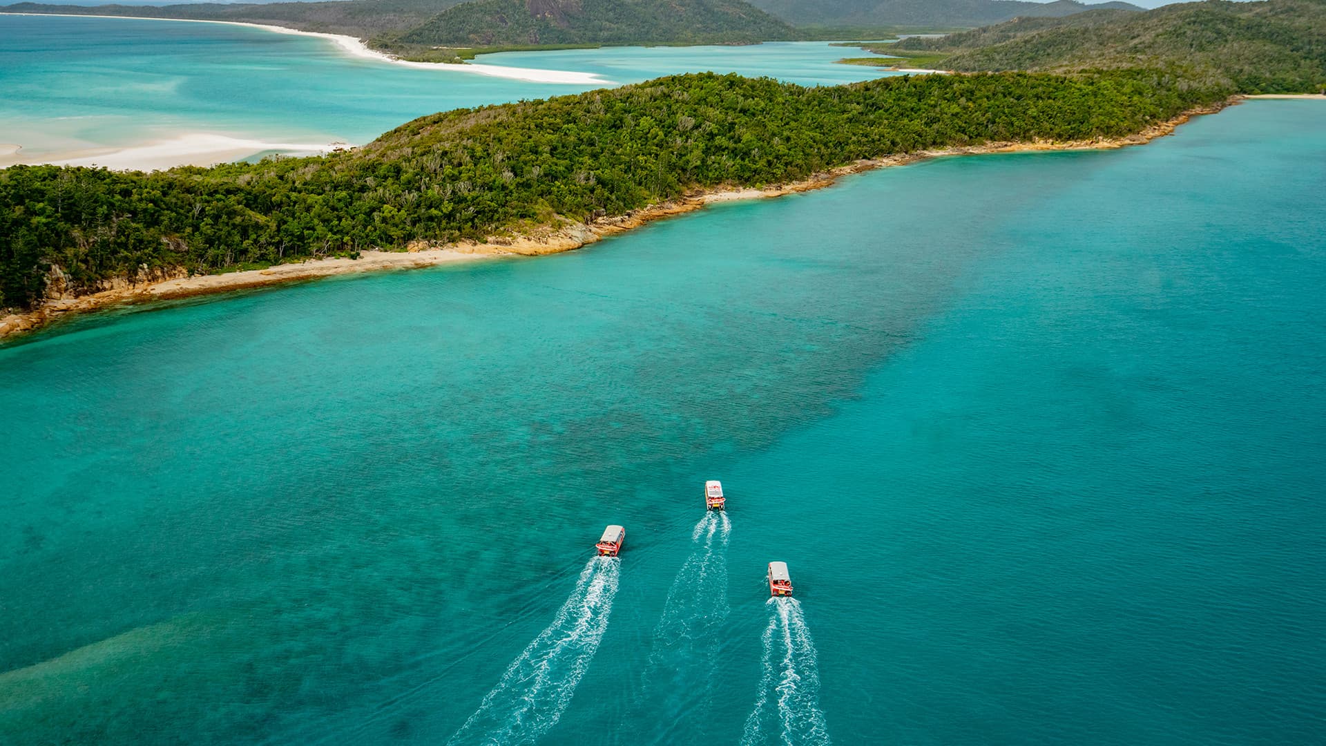 Thundercat Catamaran Whitsundays Islands Tour - სურათი 5