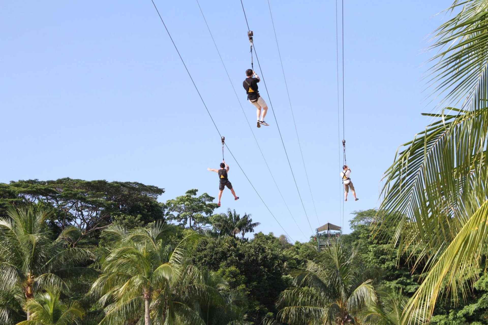 COMBO: Singapore Cable Car + MegaZip at Mega Adventure Park - სურათი 6