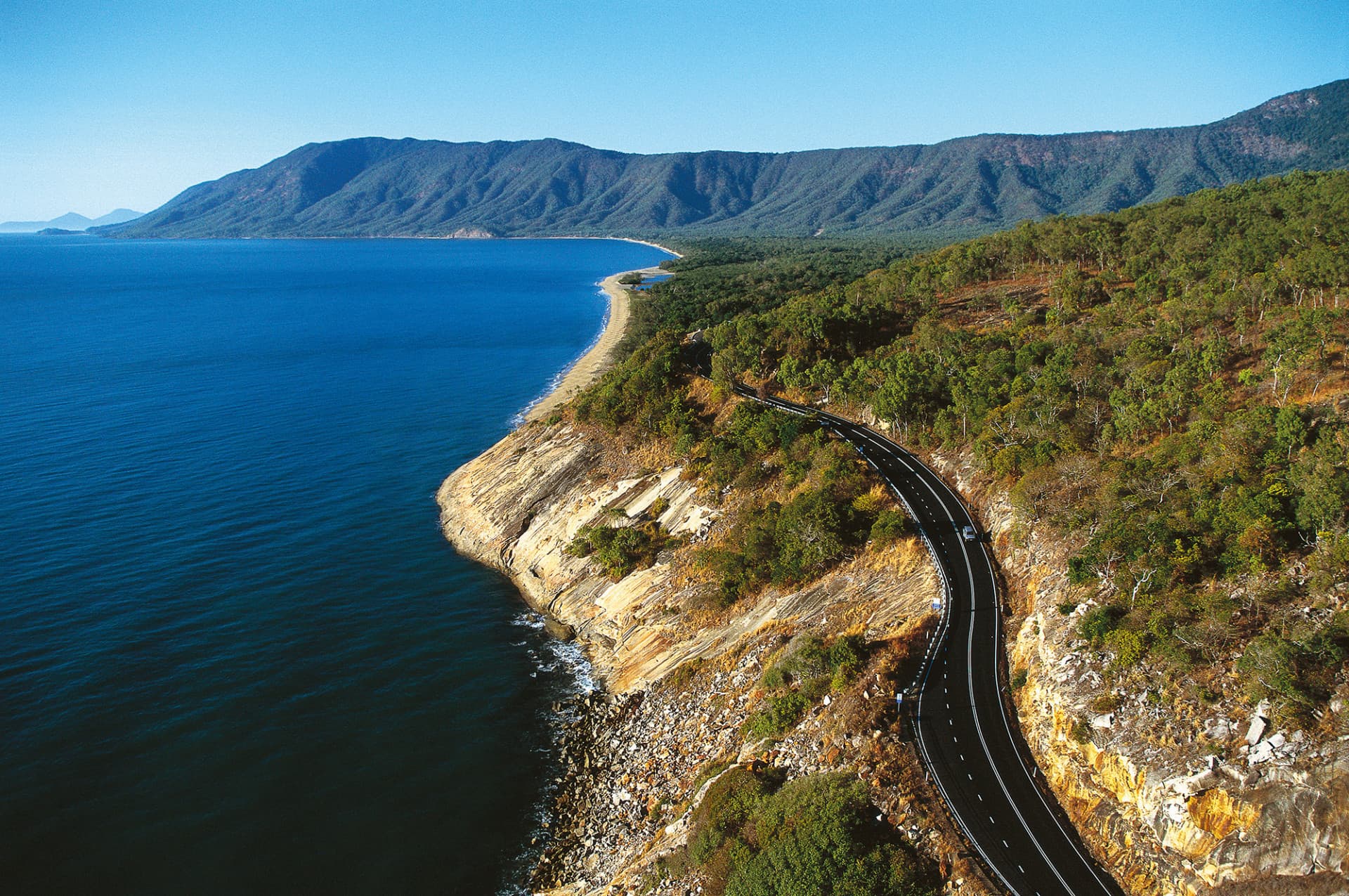 Cape Tribulation and Daintree Wilderness Full-Day Tour - სურათი 3