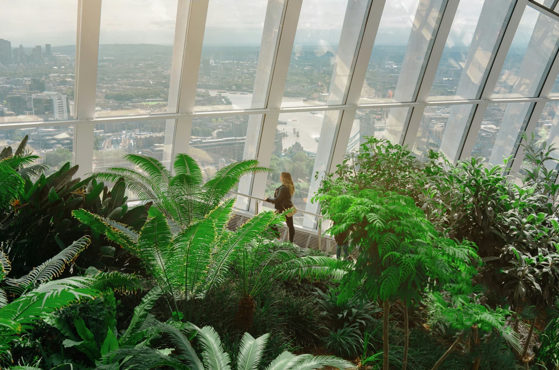 Sky Garden London Ticket - სურათი 8